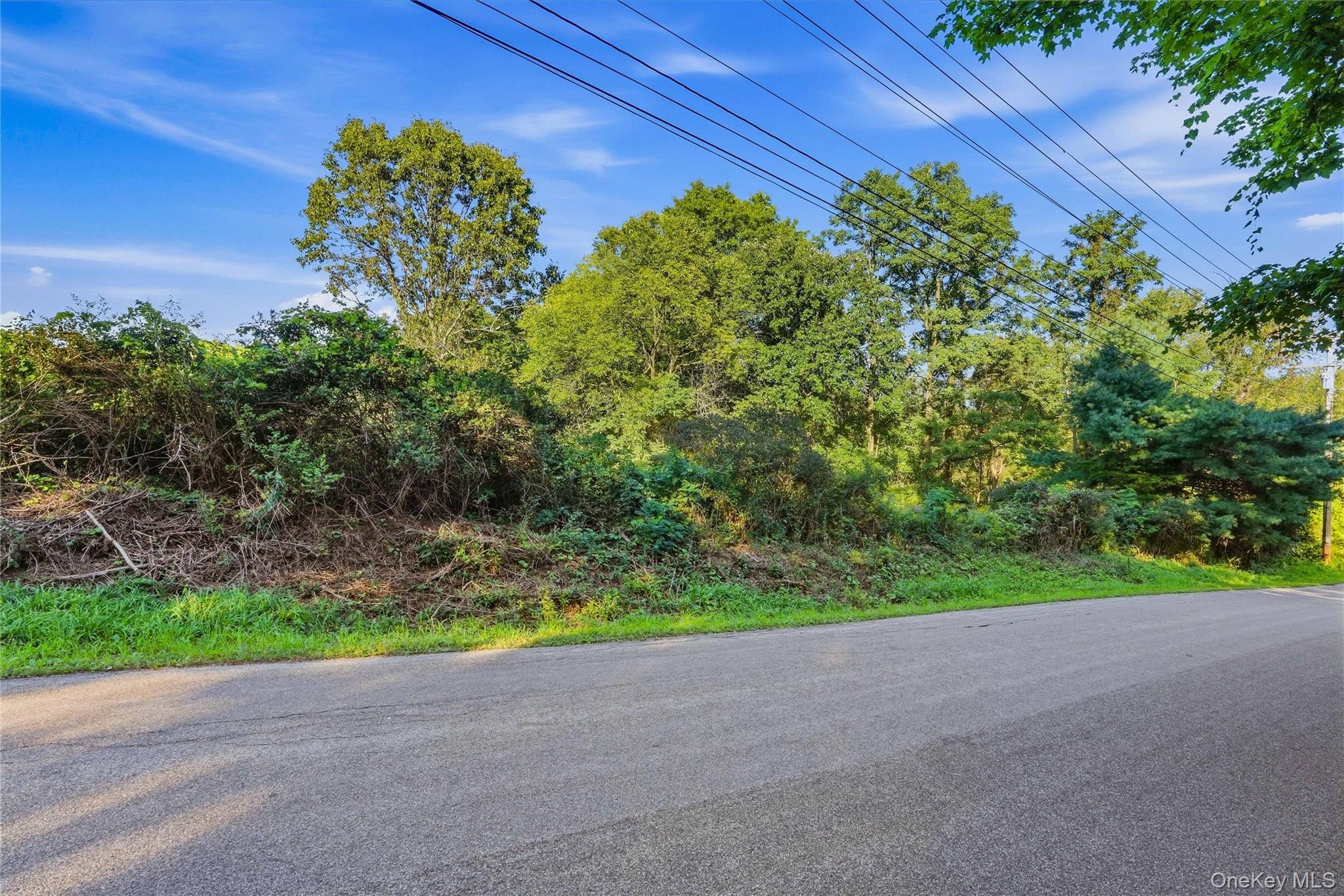 TBD Brookside Road – For Sale photo 12