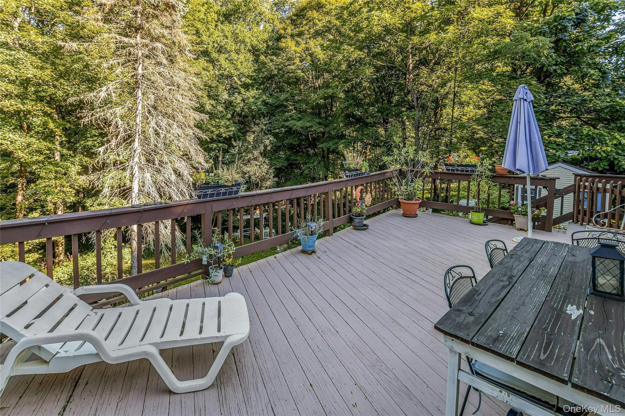 36 Haviland Road – For Sale photo 37