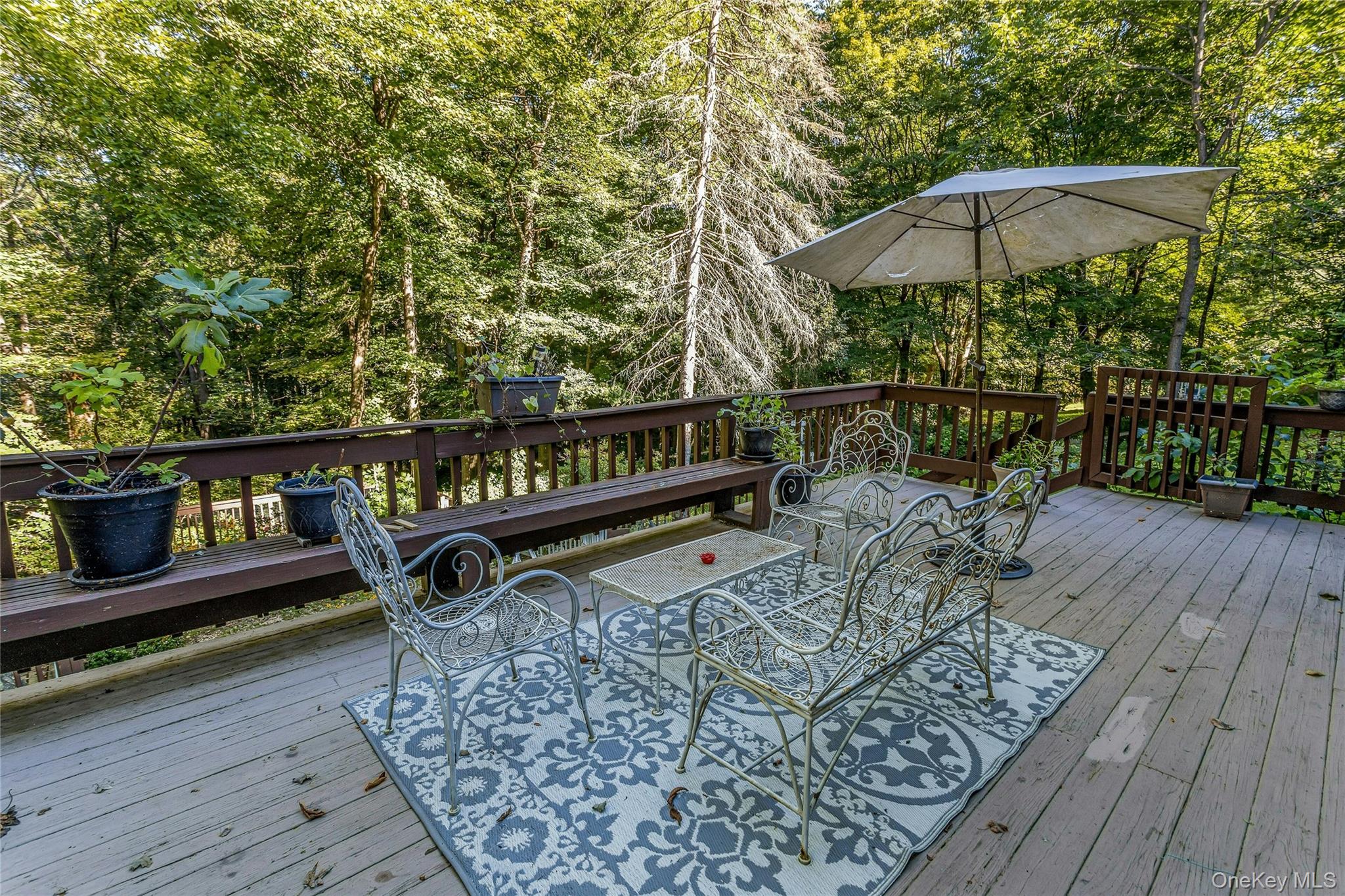36 Haviland Road – For Sale photo 36