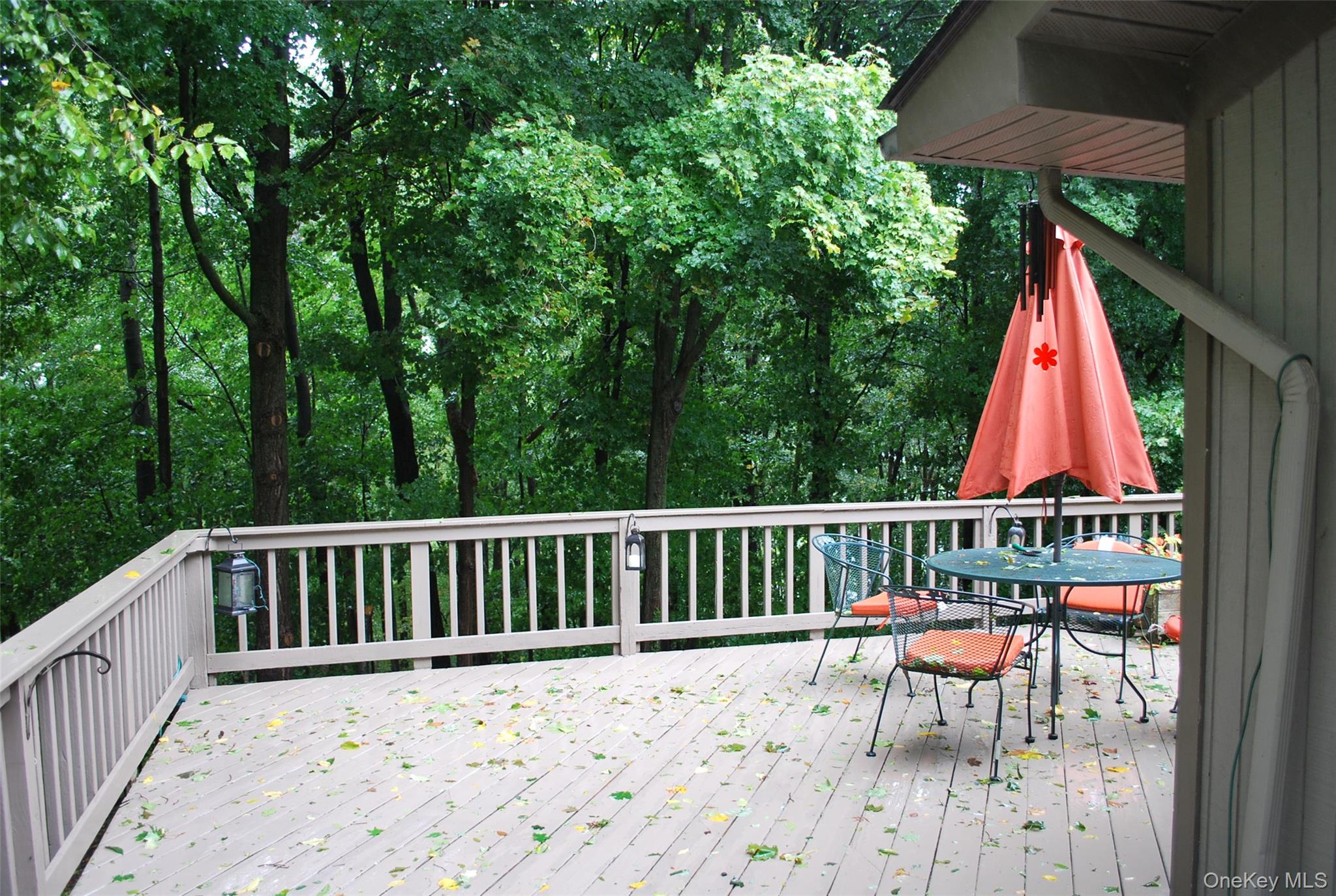 7 Abbey Road – For Sale photo 2