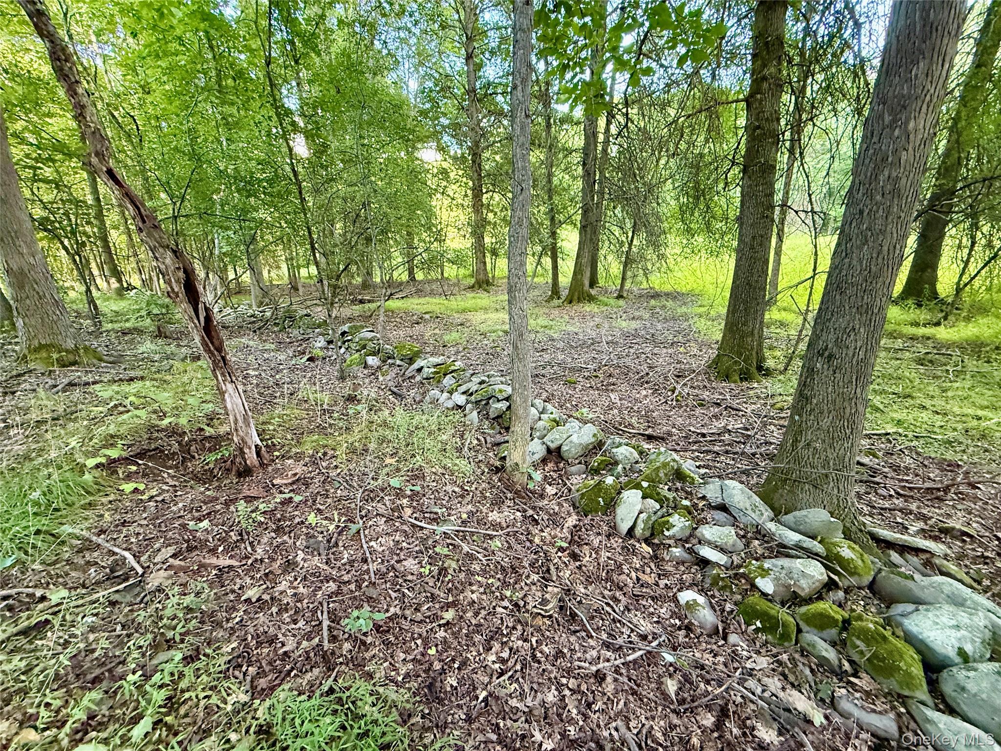 Exp Hwy 17 – For Sale photo 14