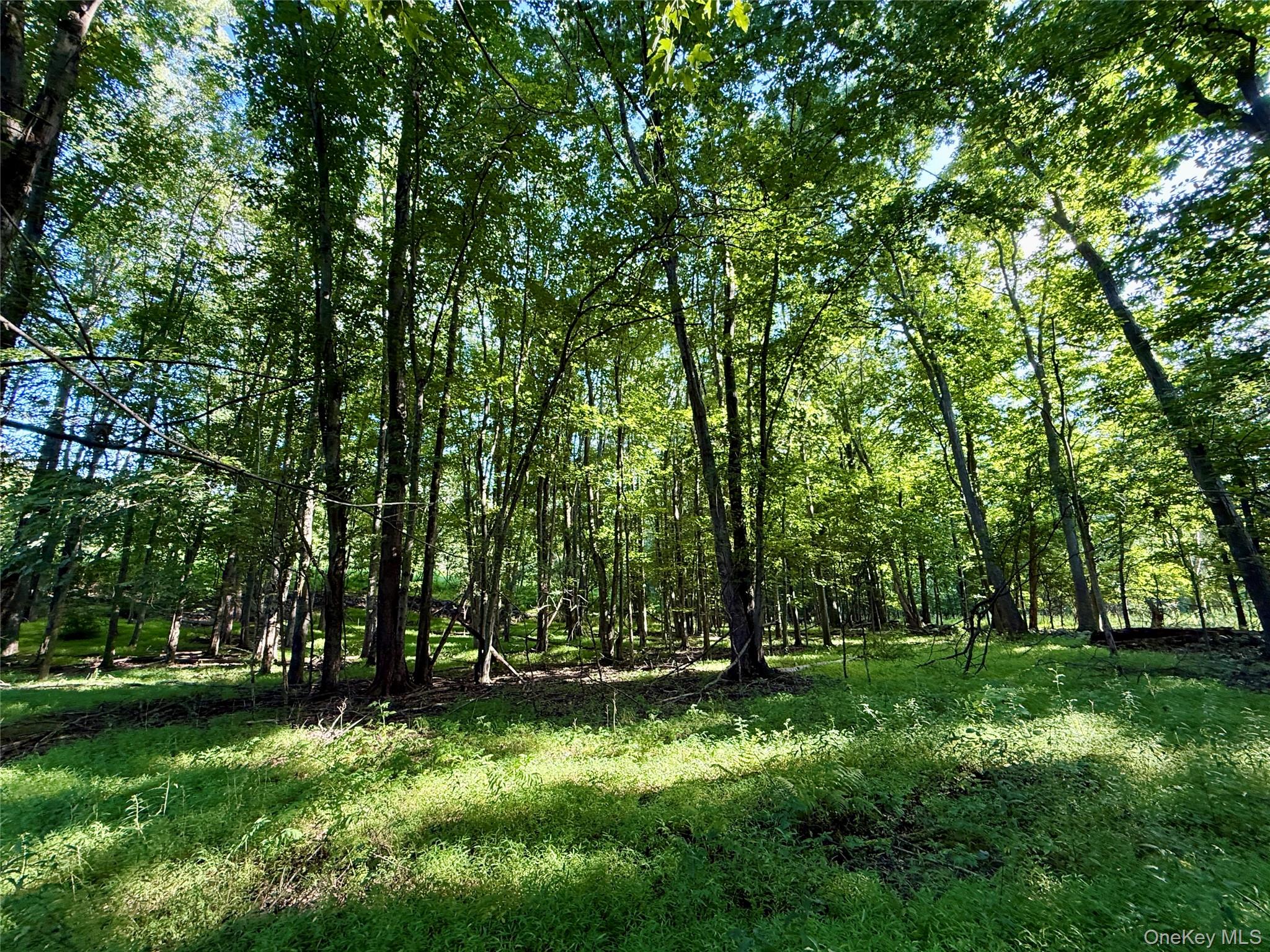 Exp Hwy 17 – For Sale photo 17