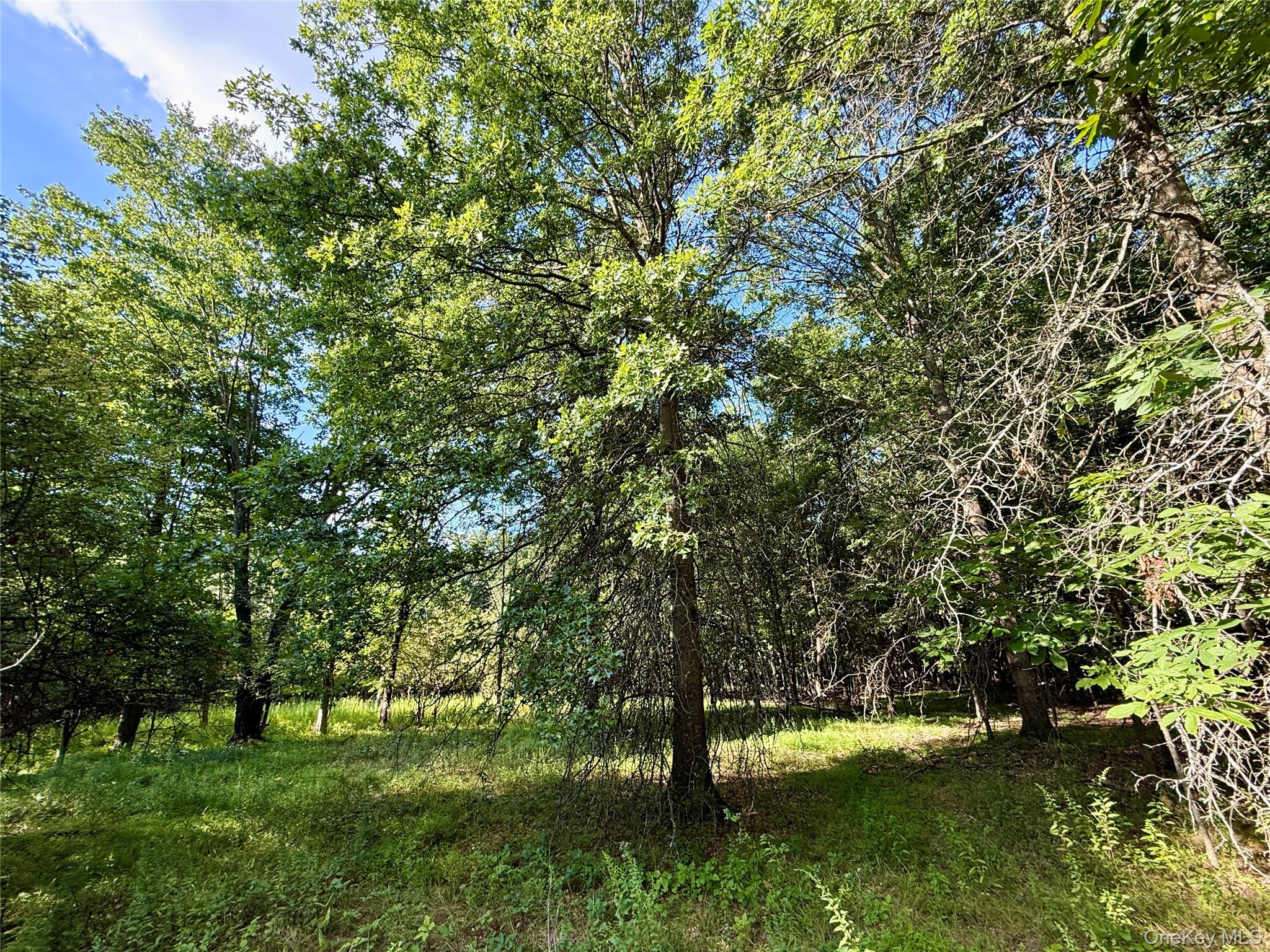 Exp Hwy 17 – For Sale photo 26
