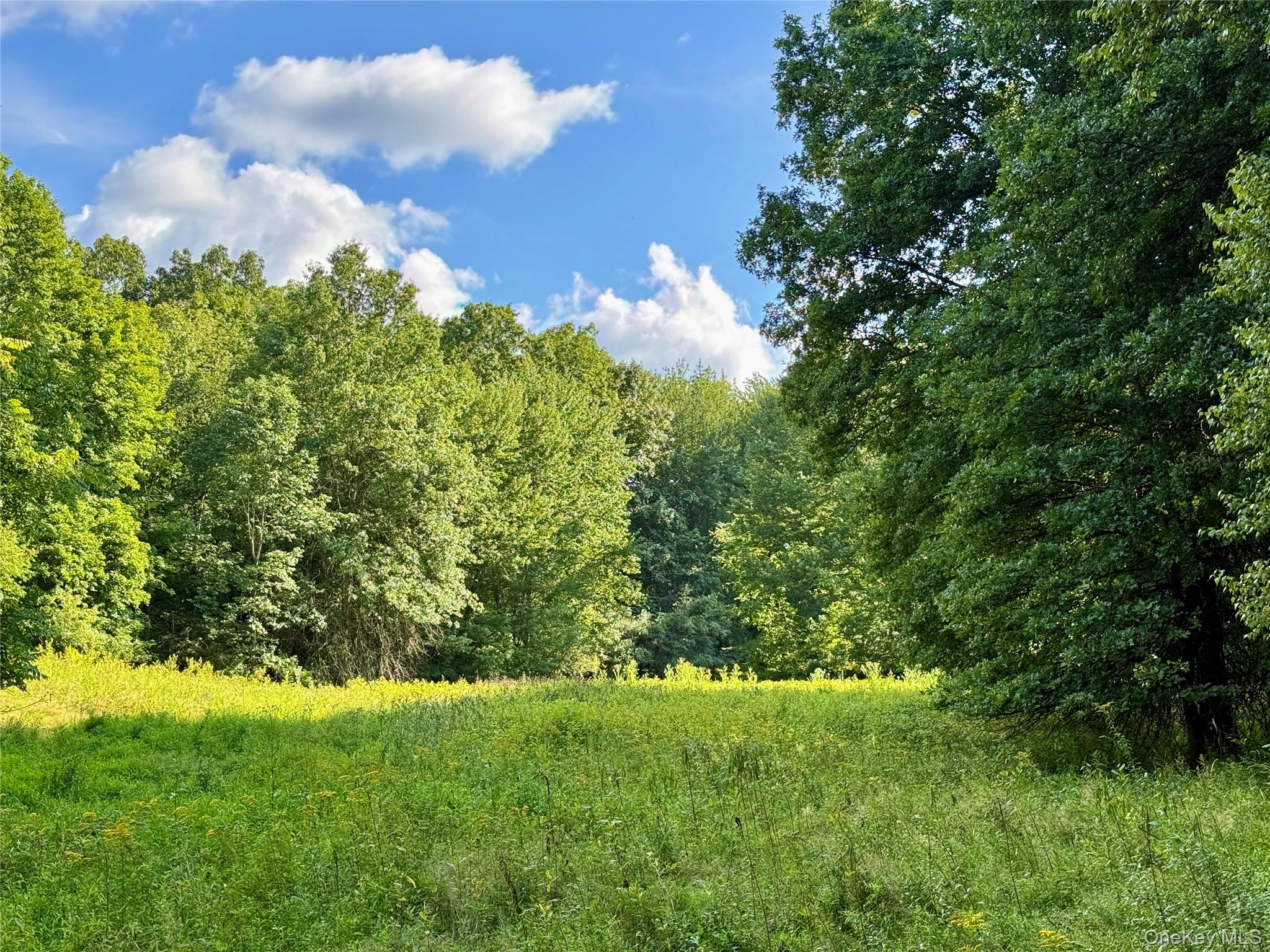 Exp Hwy 17 – For Sale photo 5