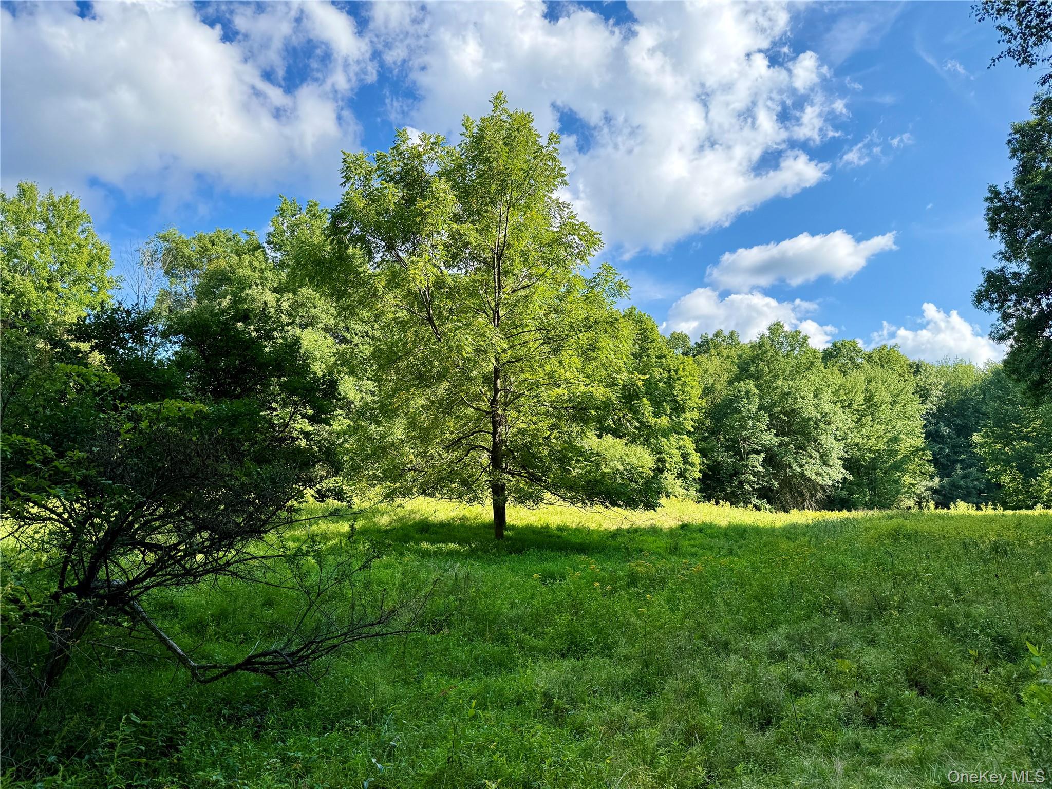 Exp Hwy 17 – For Sale photo 4