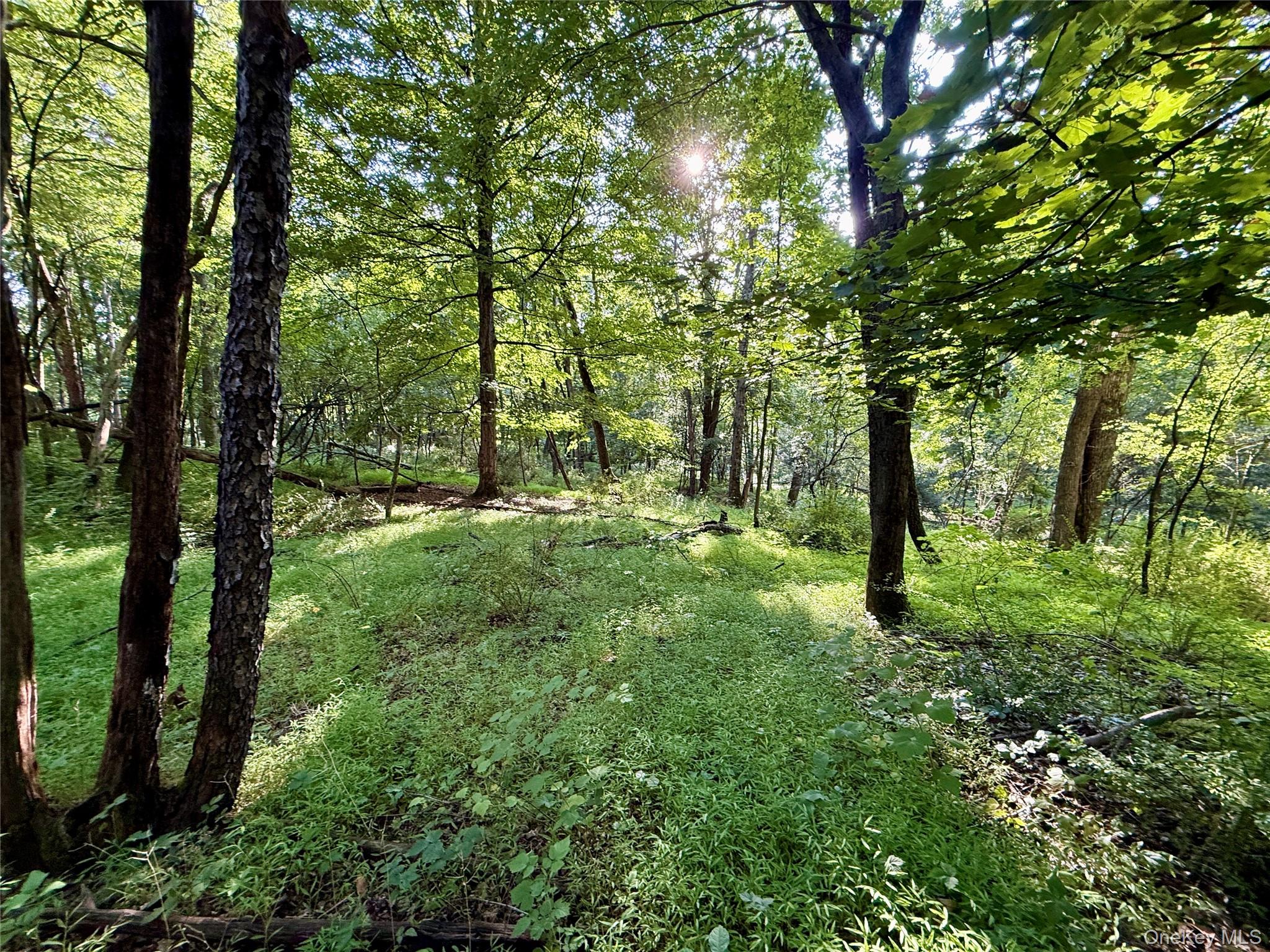 Exp Hwy 17 – For Sale photo 27
