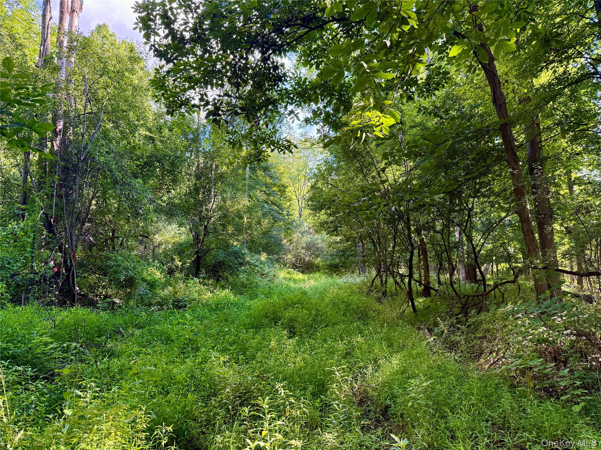 Exp Hwy 17 – For Sale photo 13