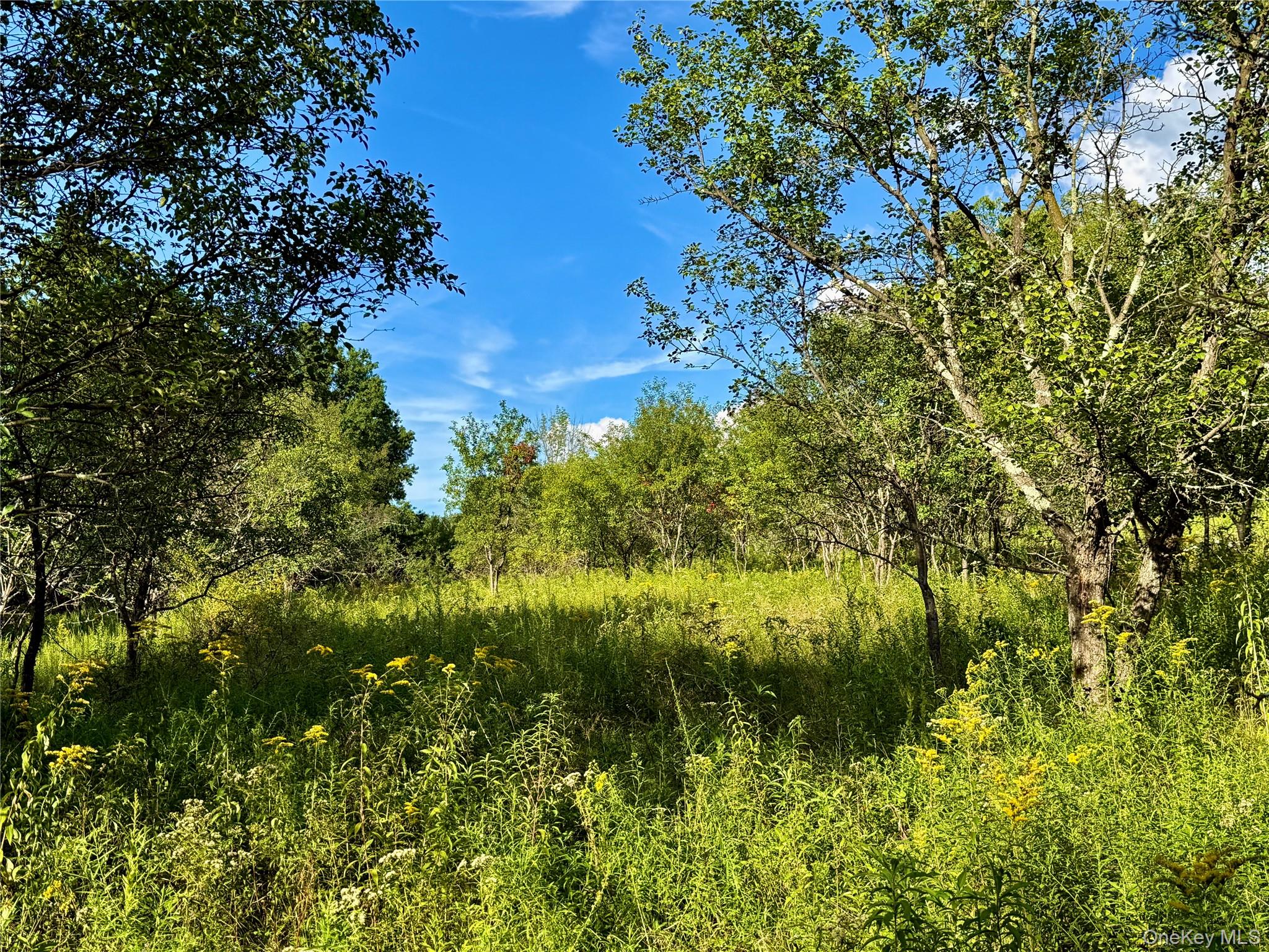 Exp Hwy 17 – For Sale photo 18