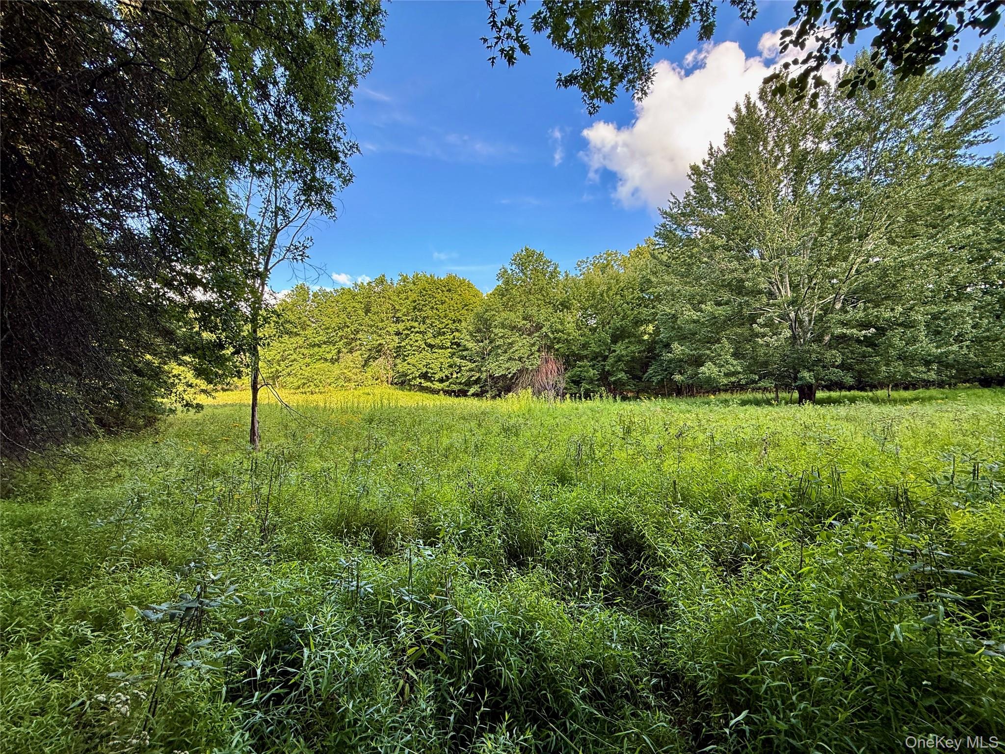 Exp Hwy 17 – For Sale photo 15