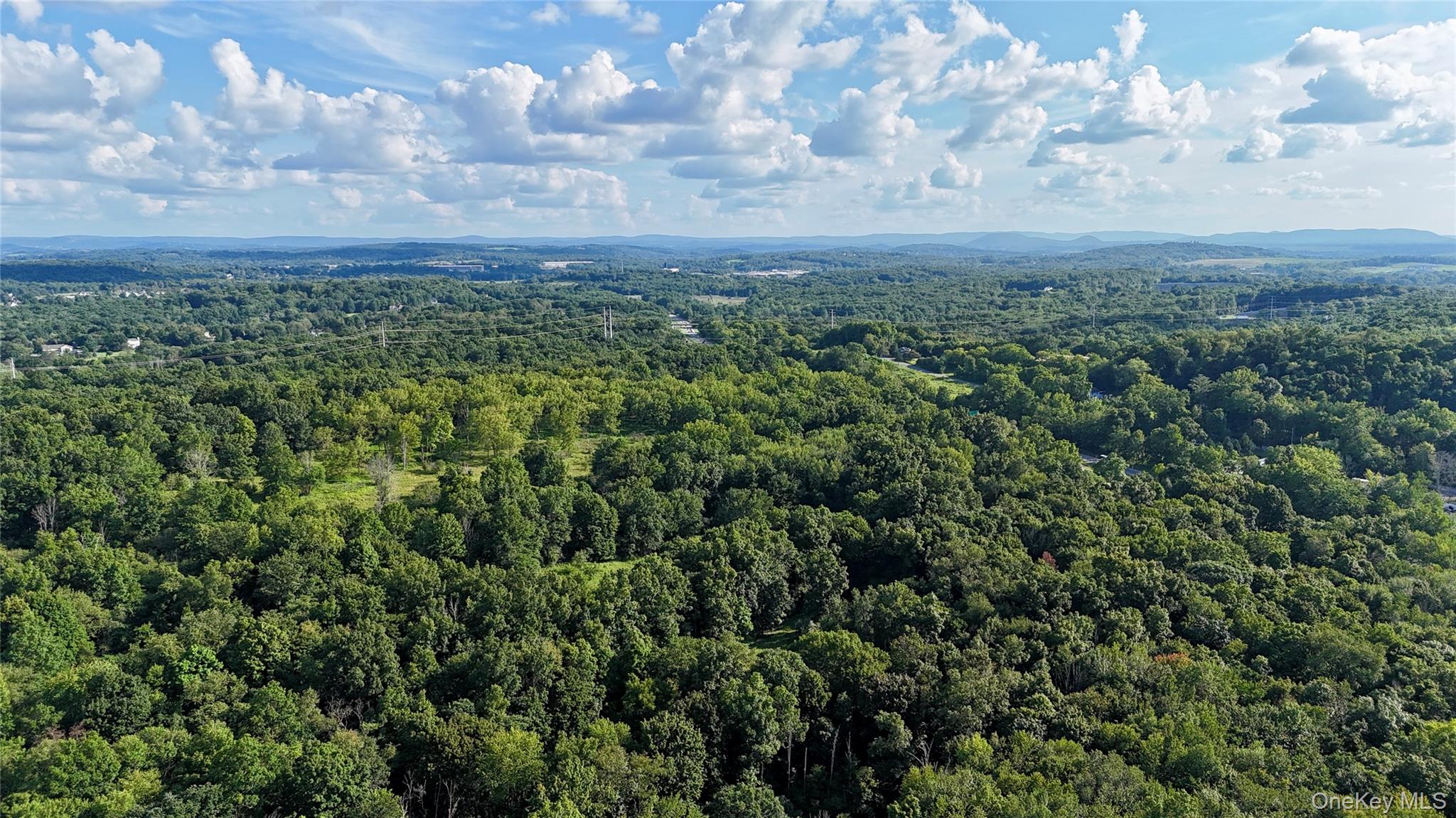 Exp Hwy 17 – For Sale photo 2