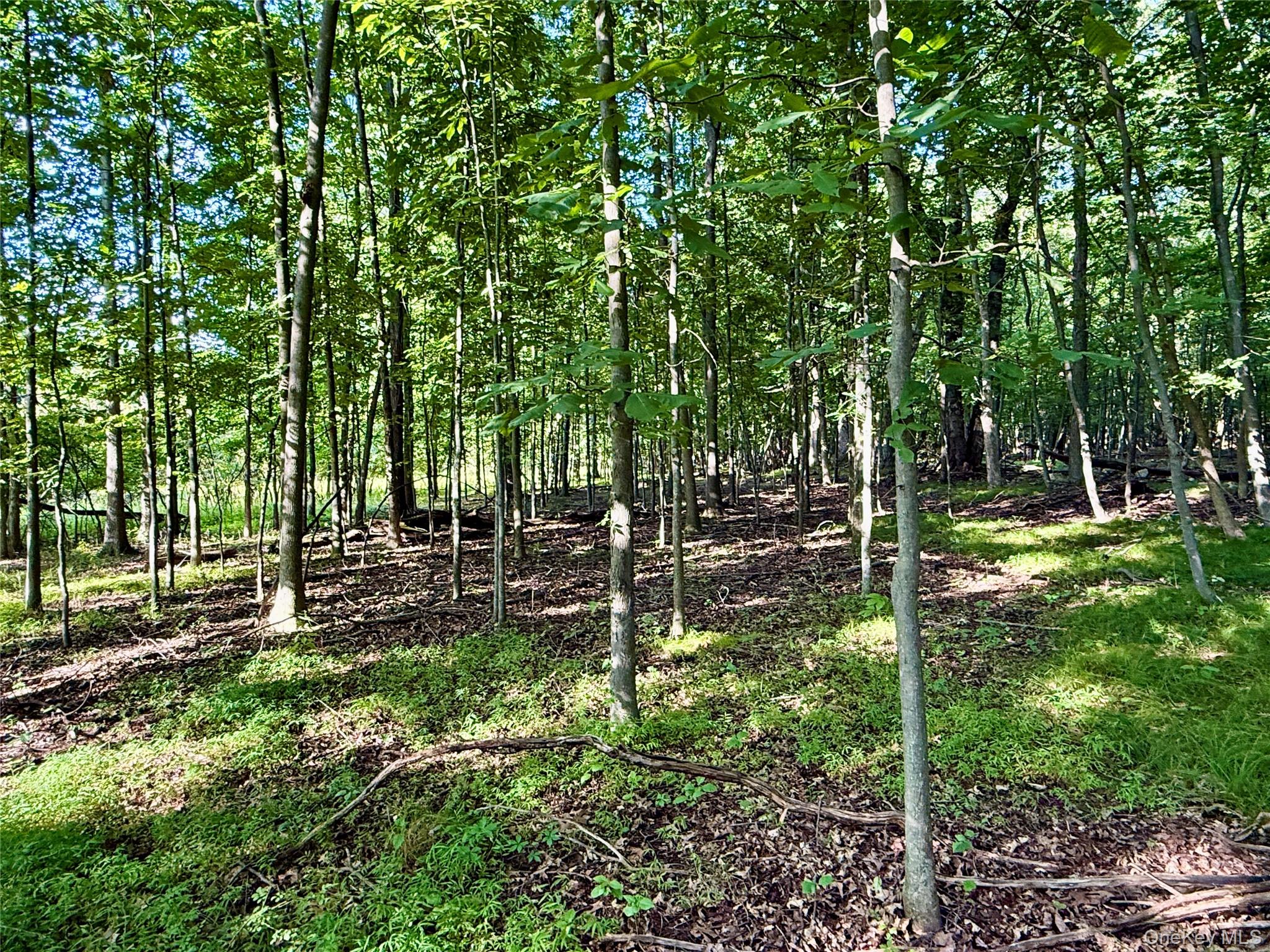 Exp Hwy 17 – For Sale photo 25