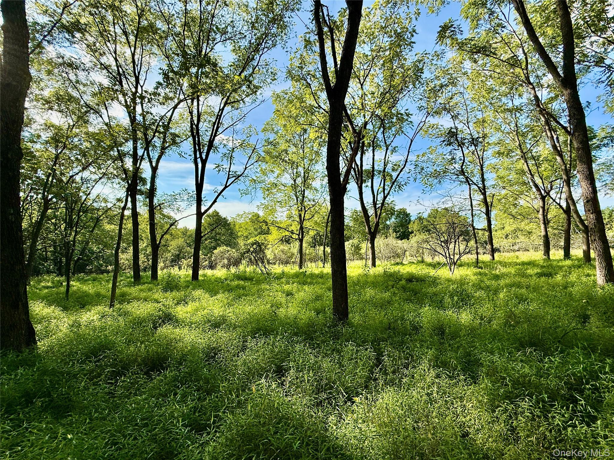 Exp Hwy 17 – For Sale photo 24