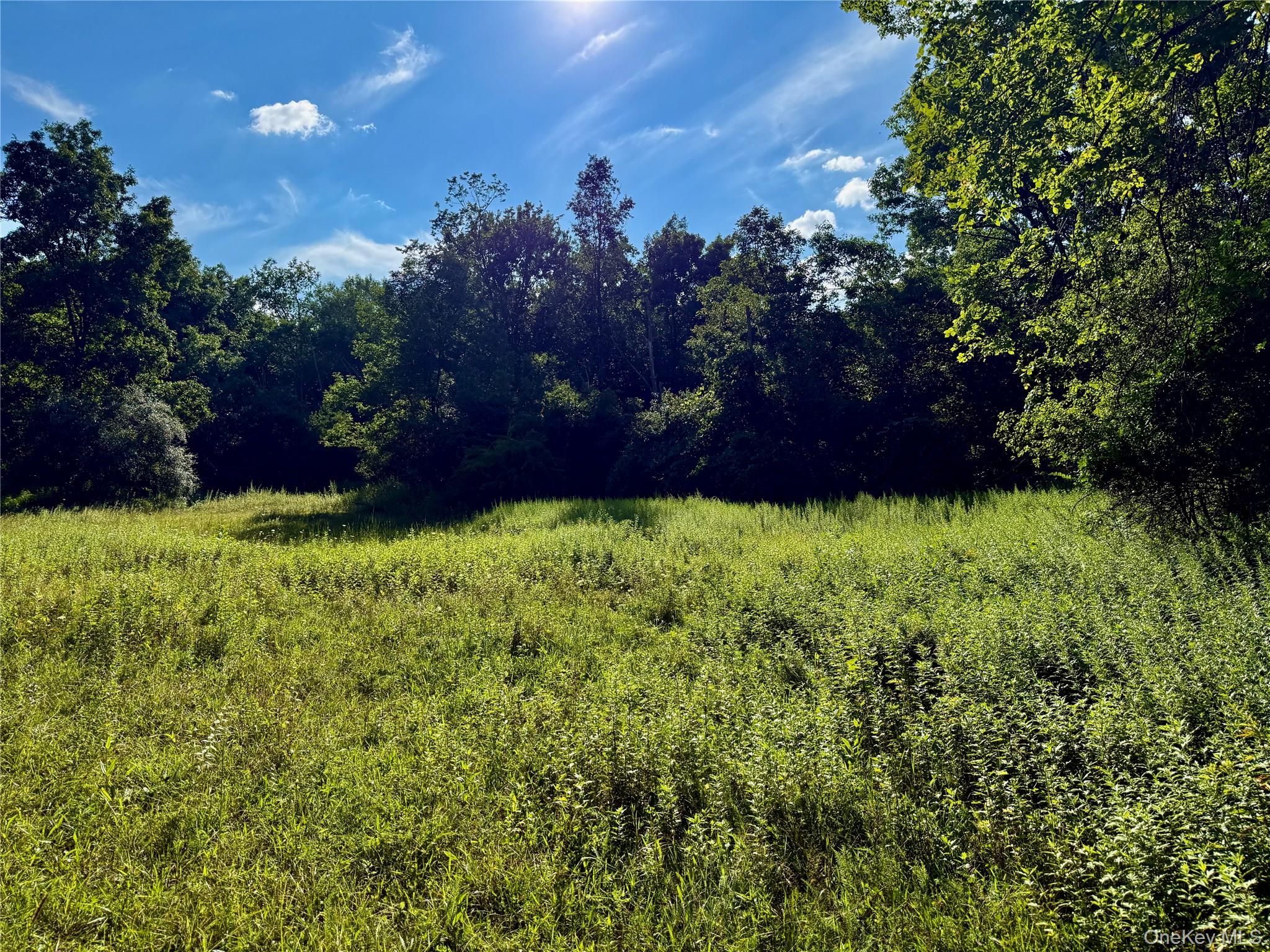 Exp Hwy 17 – For Sale photo 3