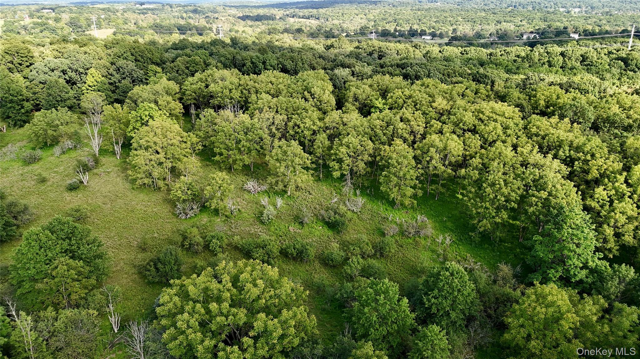 Exp Hwy 17 – For Sale photo 19