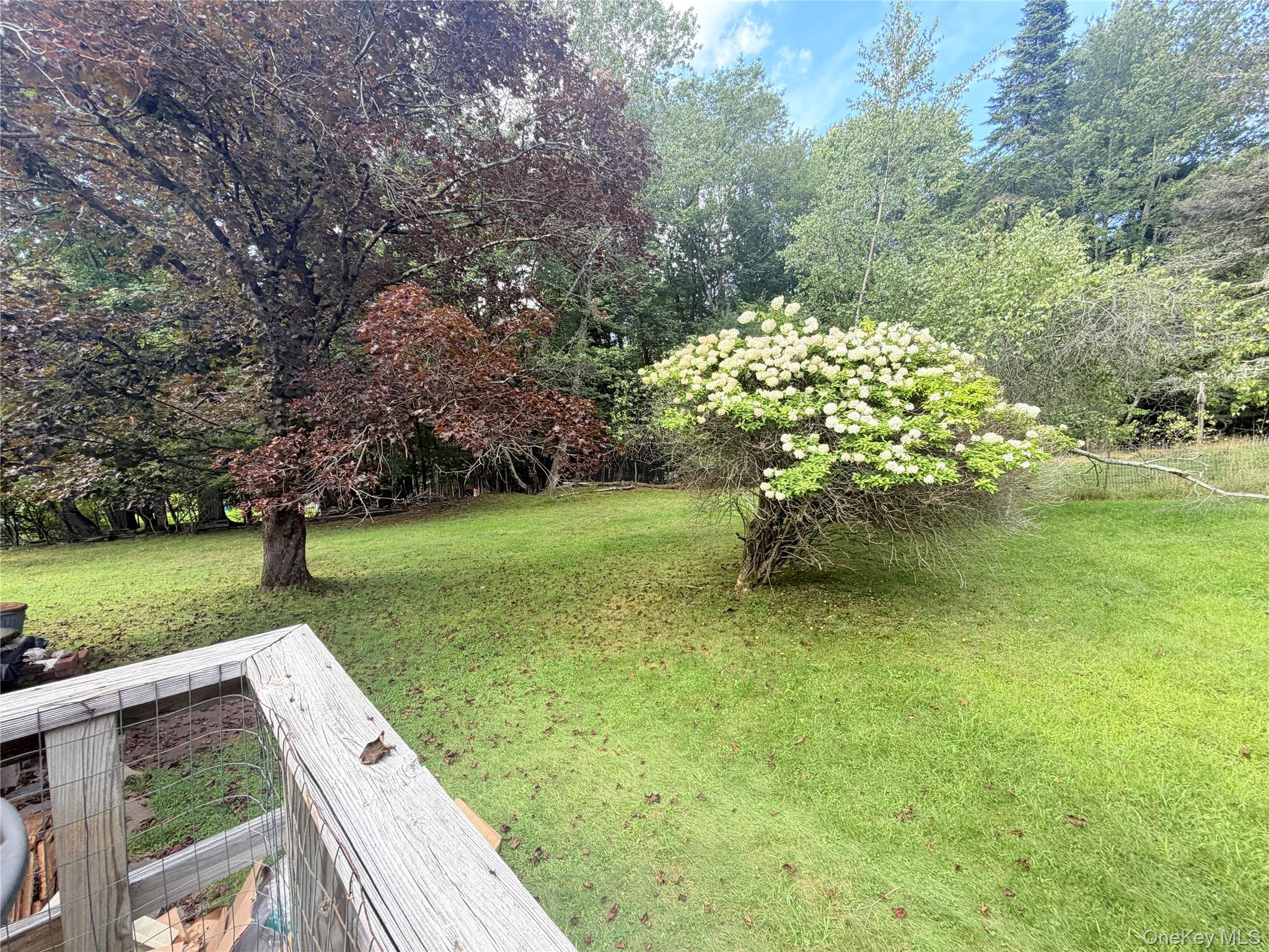 25 Miles – For Rent photo 16