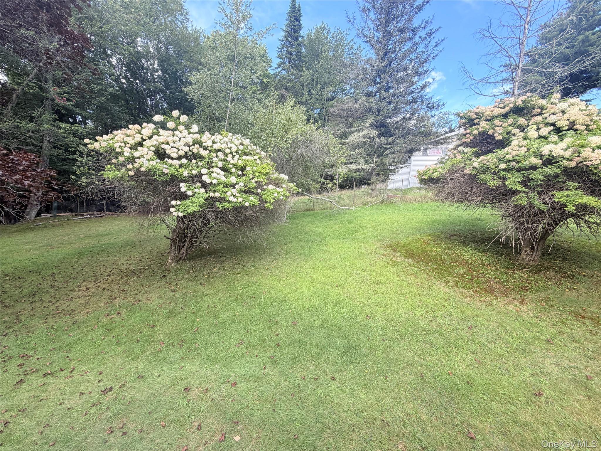 25 Miles – For Rent photo 15