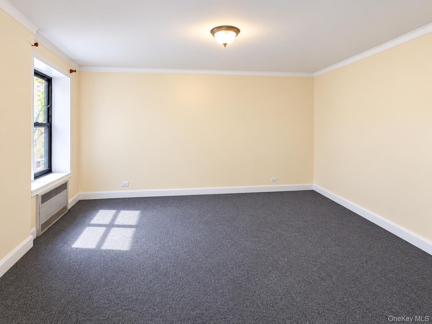 9205 Whitney Avenue, Unit A27 photo 4