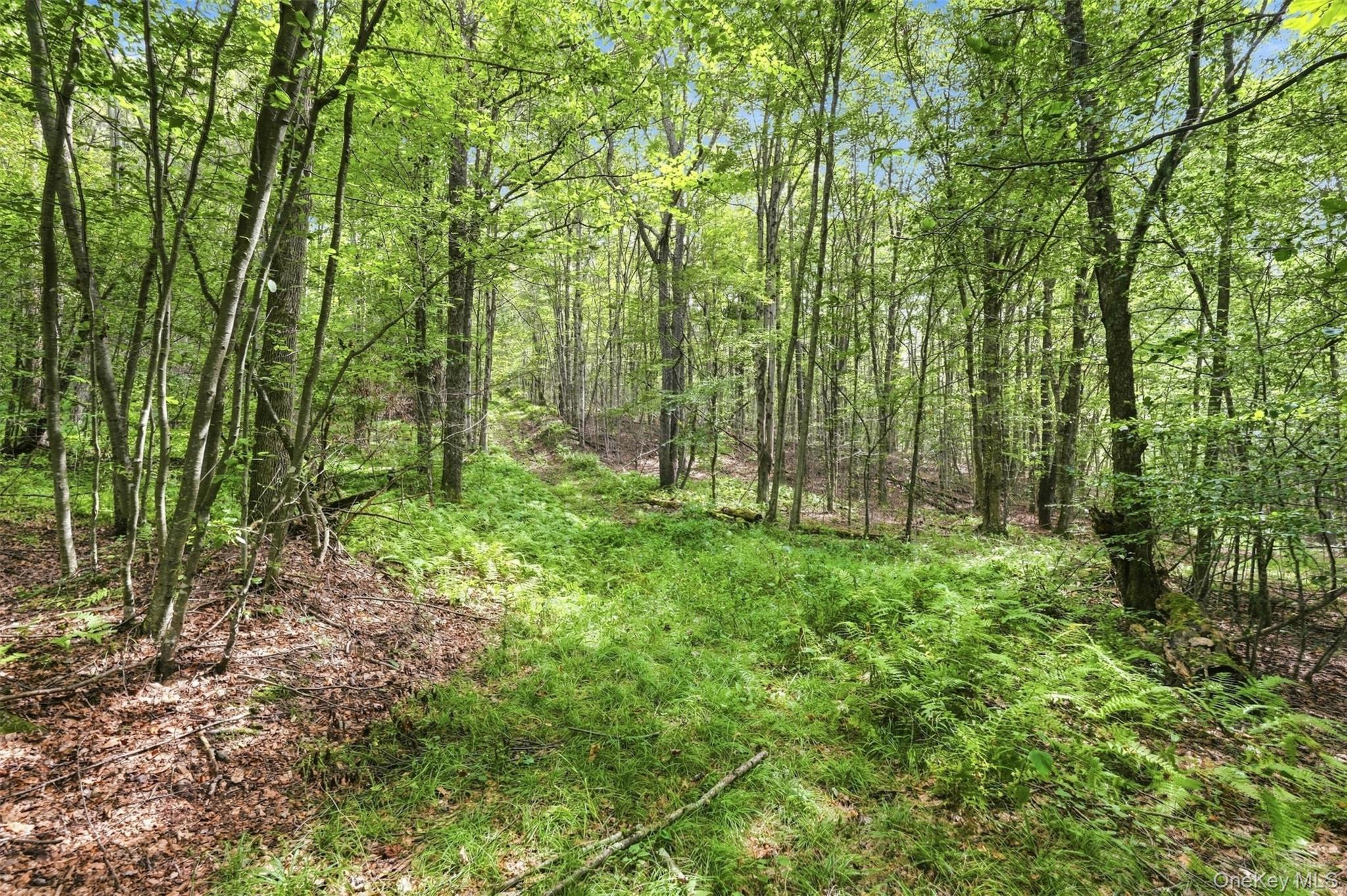 14483 County Road 17 – For Sale photo 41