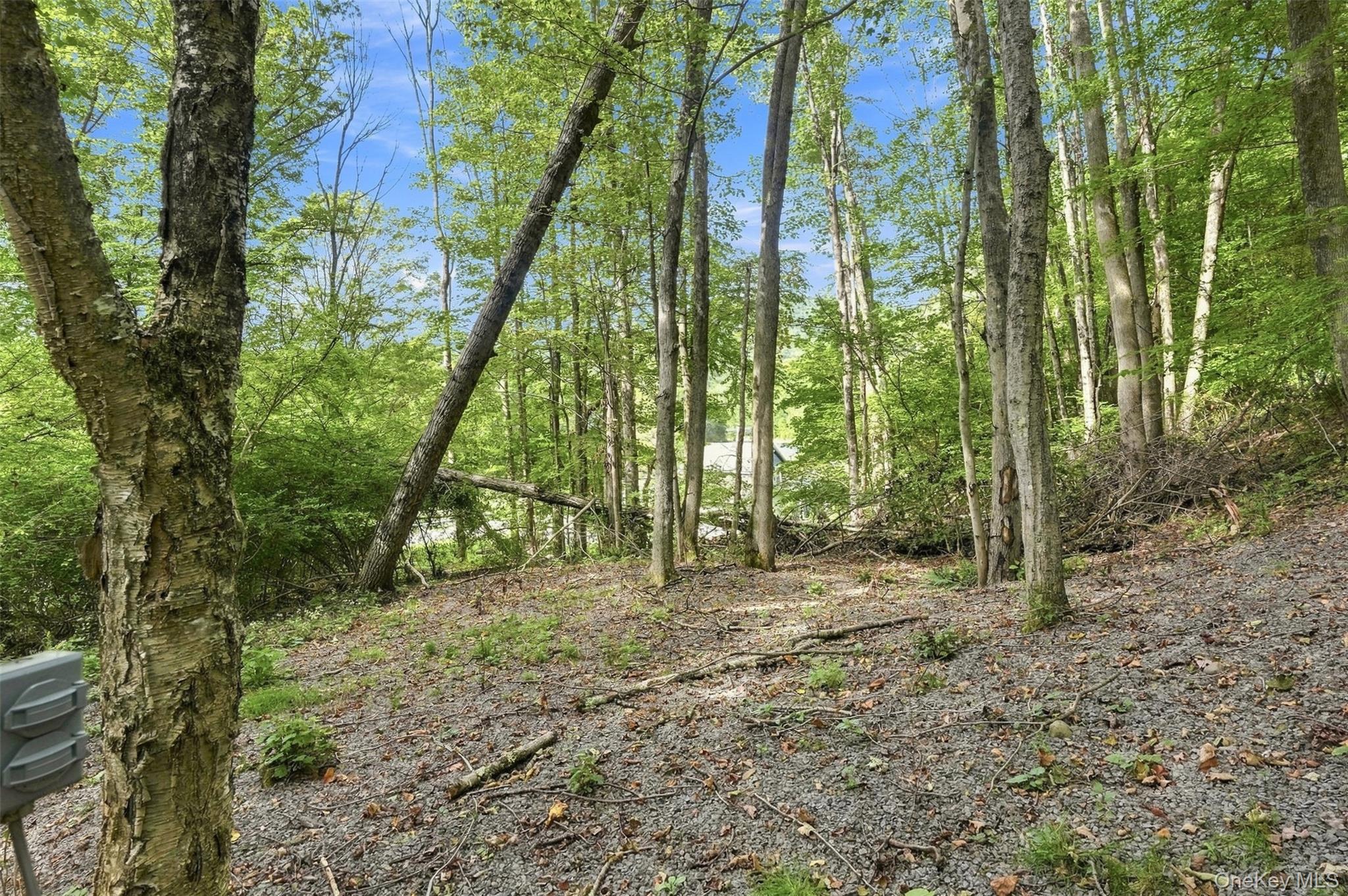 14483 County Road 17 – For Sale photo 42