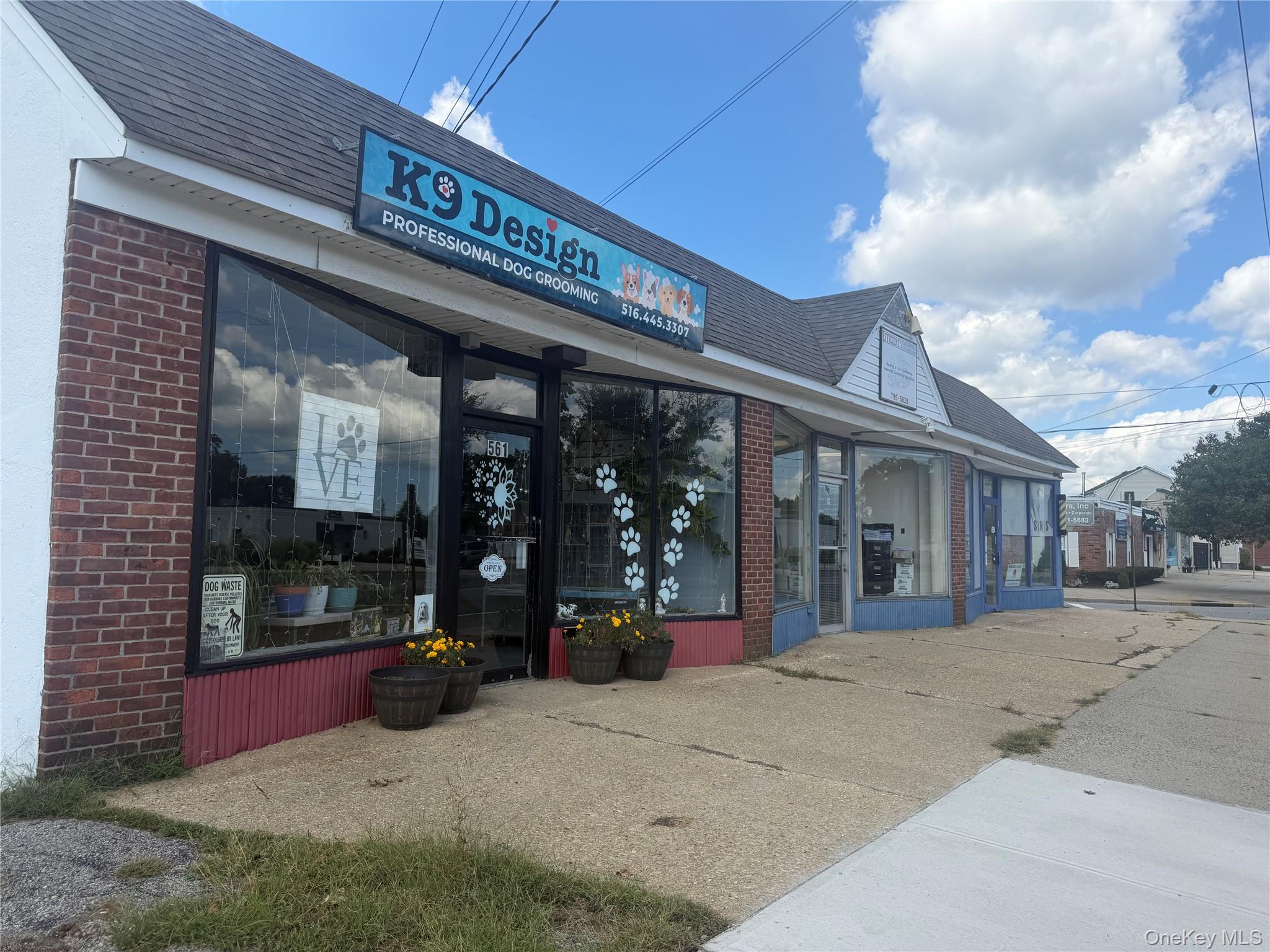565 Broadway – For Rent photo 5