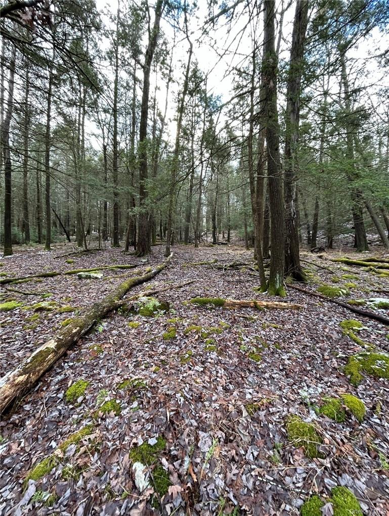 145 Brandt Road – For Sale photo 7