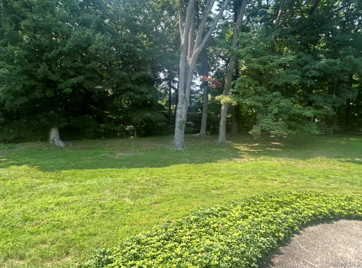 40 Maplewood Drive – For Rent photo 32