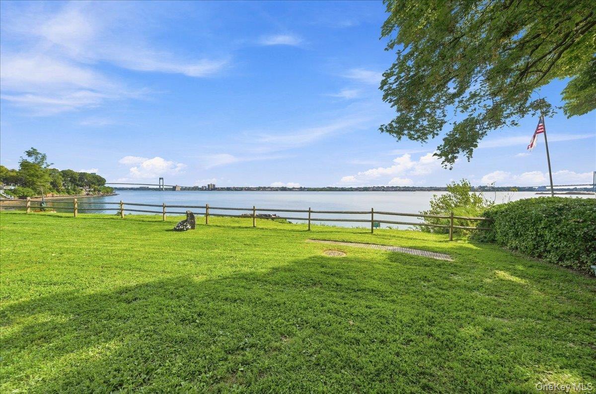 11 Oak Avenue, Unit 11 photo 18