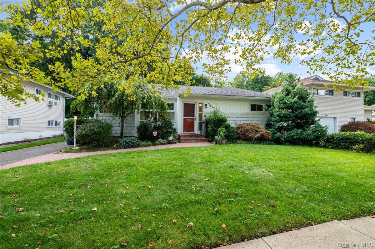 564 Richmond Road – For Sale photo 2