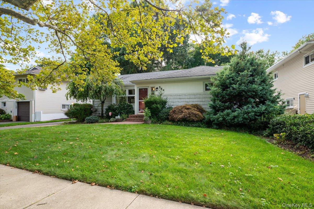 564 Richmond Road – For Sale