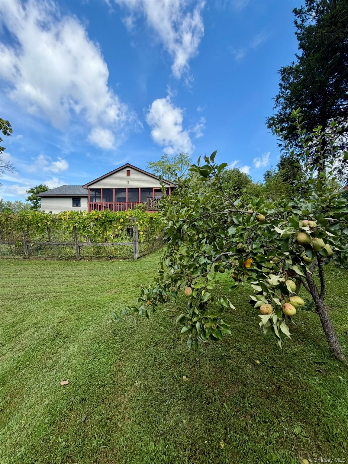 15 Trenton Road – For Sale photo 31