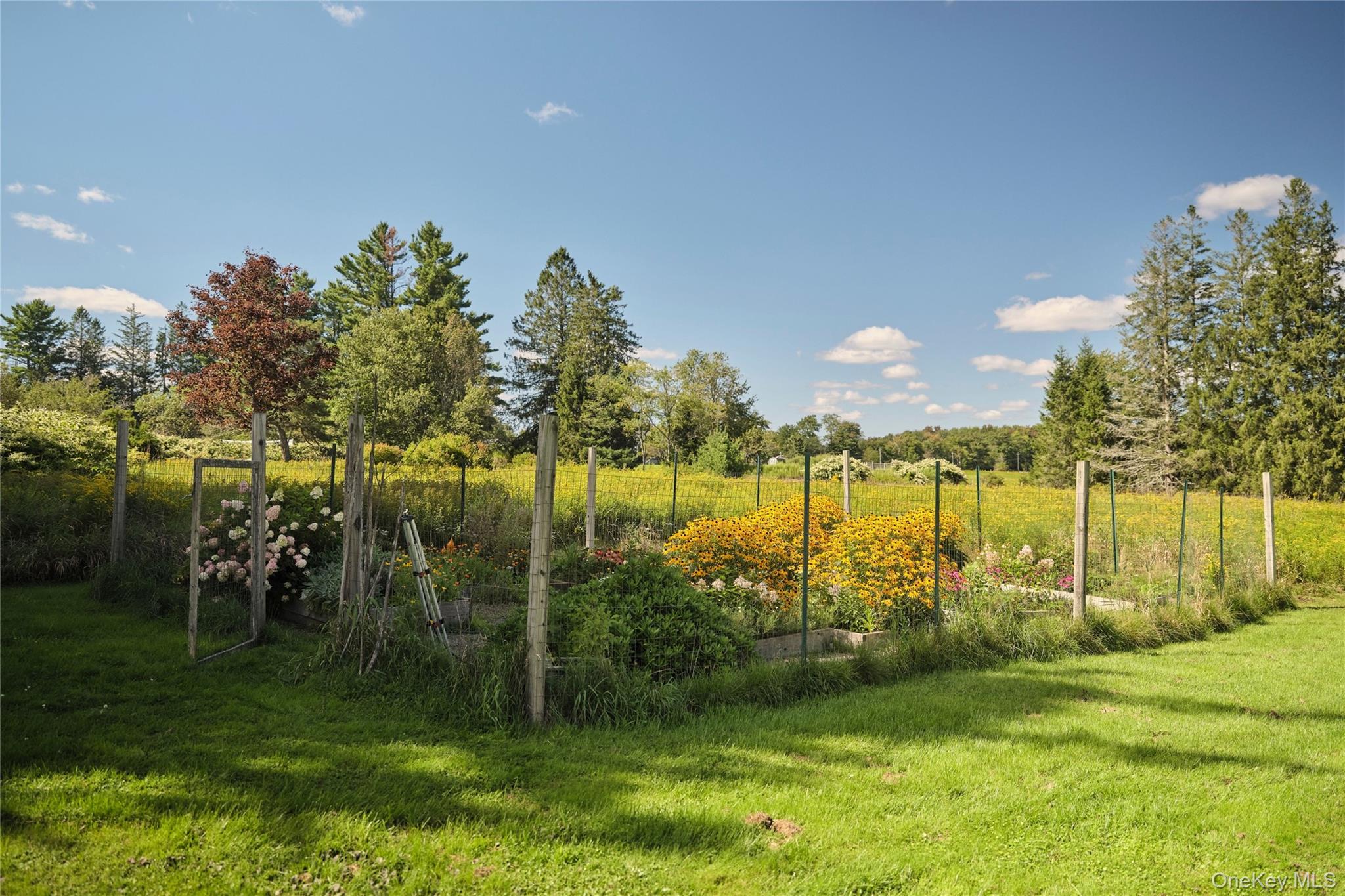61 Shandelee Lake Road – For Sale photo 29