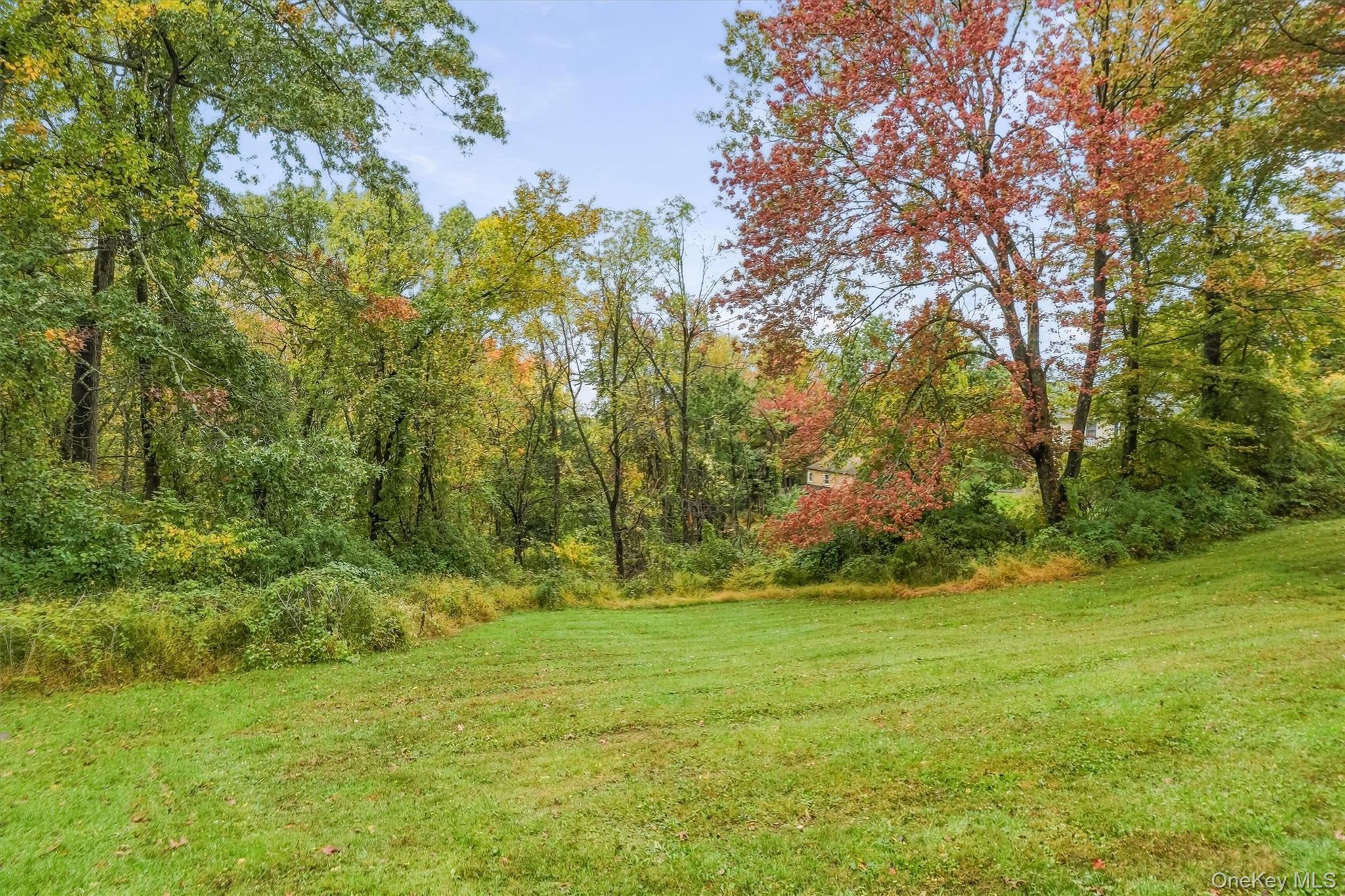 19 Ridgeview Road – For Sale photo 37