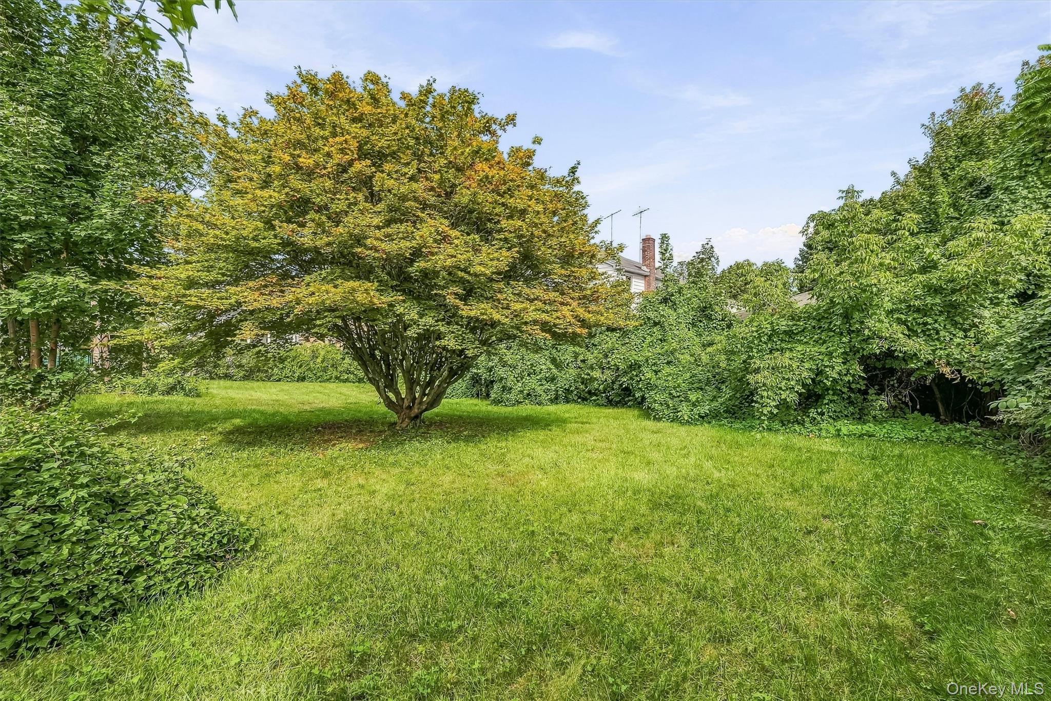 Vacant Florence Avenue – For Sale photo 6