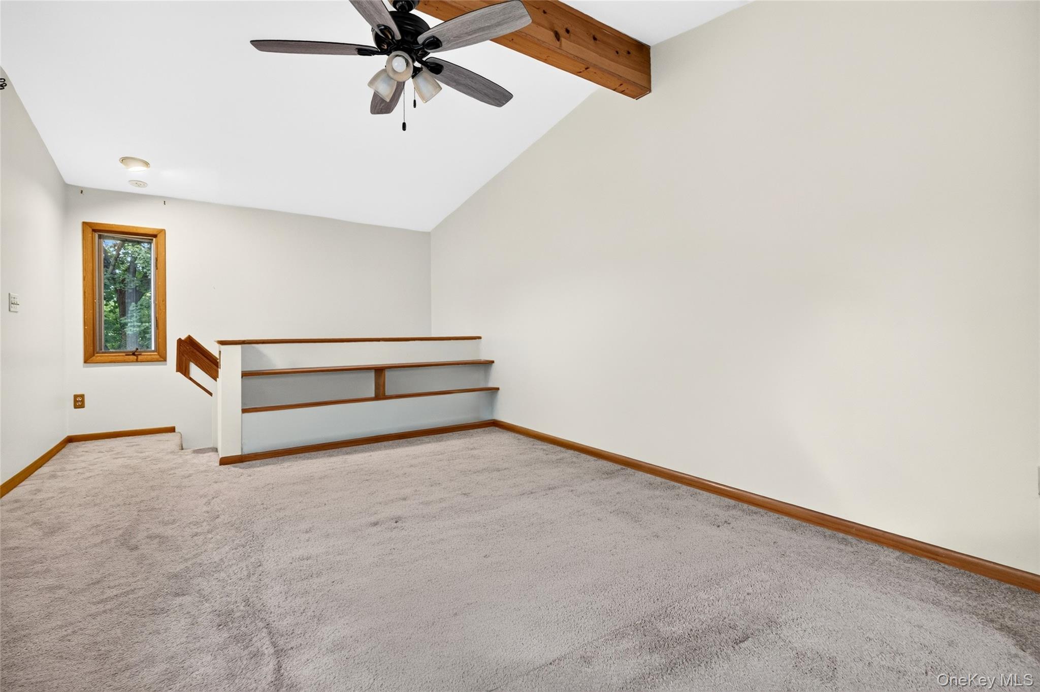 23 Howard Avenue – For Sale photo 37