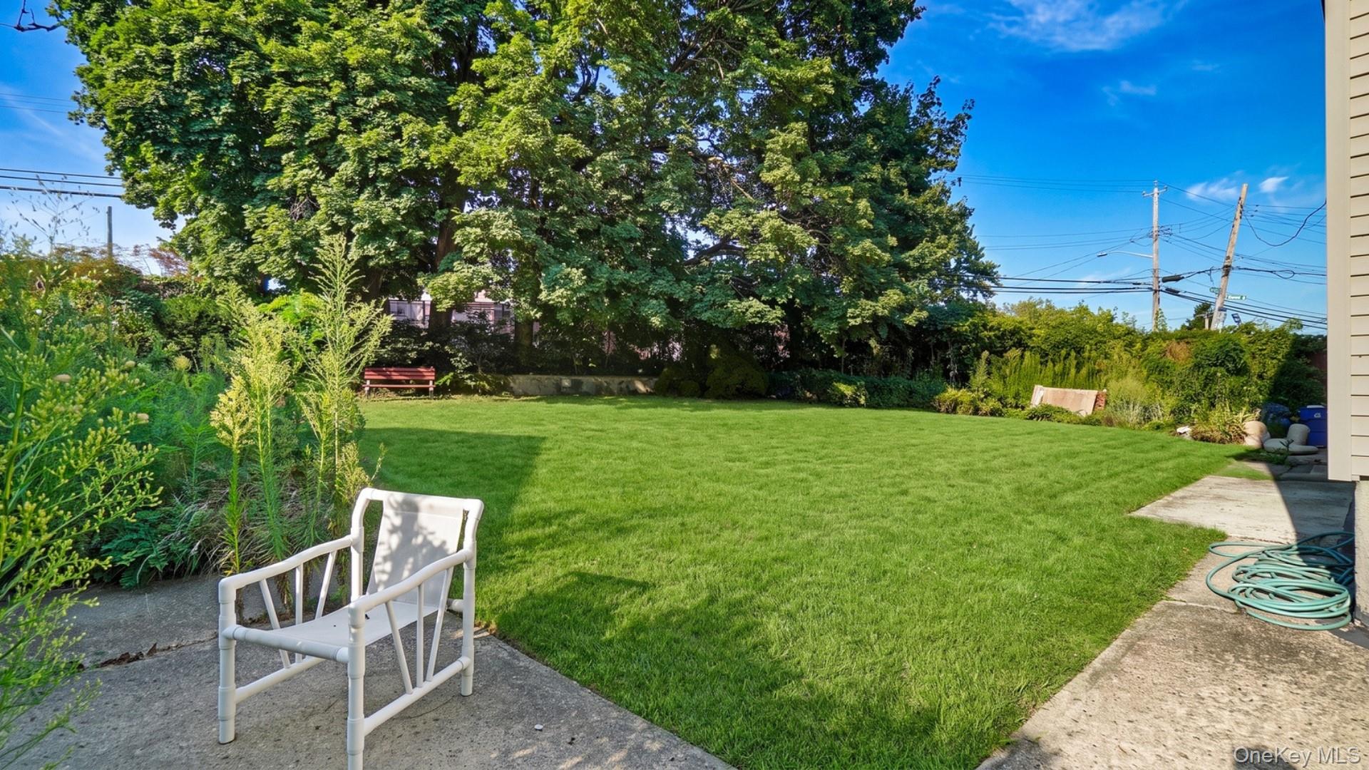 6 Johnson Street – For Sale photo 22