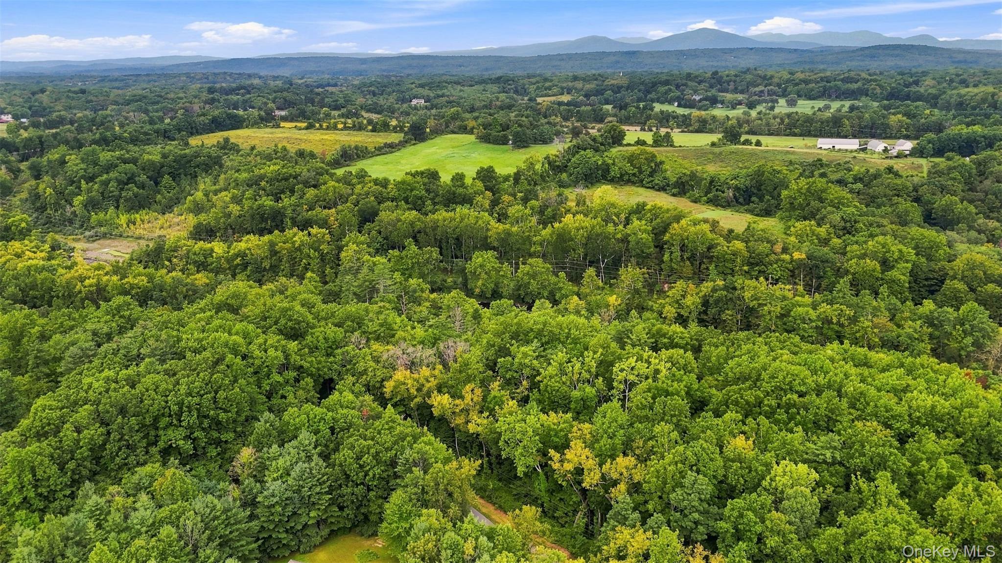 Bruceville Road – For Sale photo 2