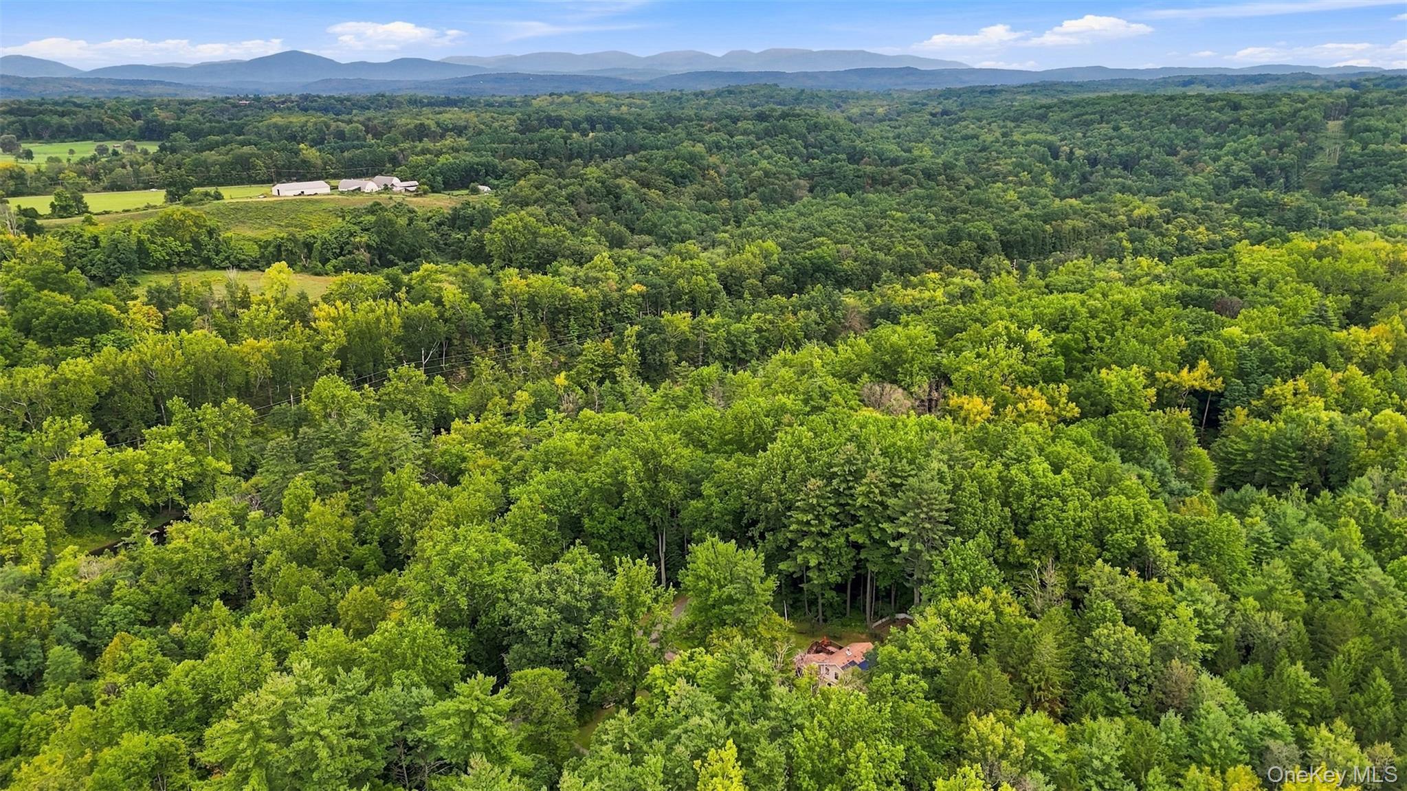 Bruceville Road – For Sale photo 11