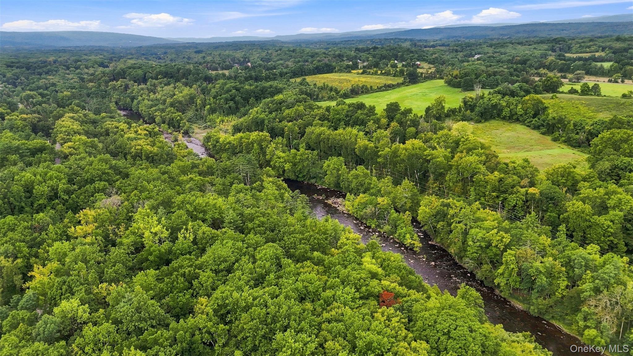 Bruceville Road – For Sale photo 3