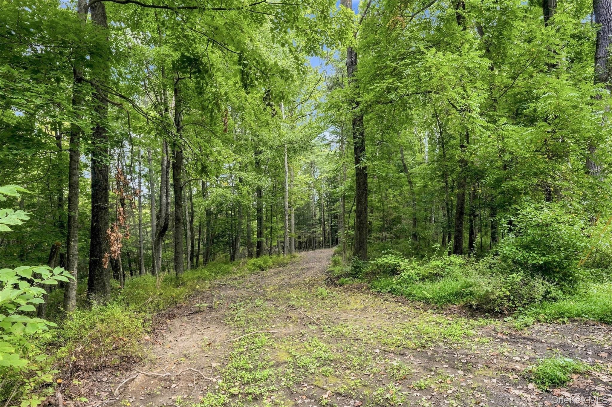 Bruceville Road – For Sale photo 18