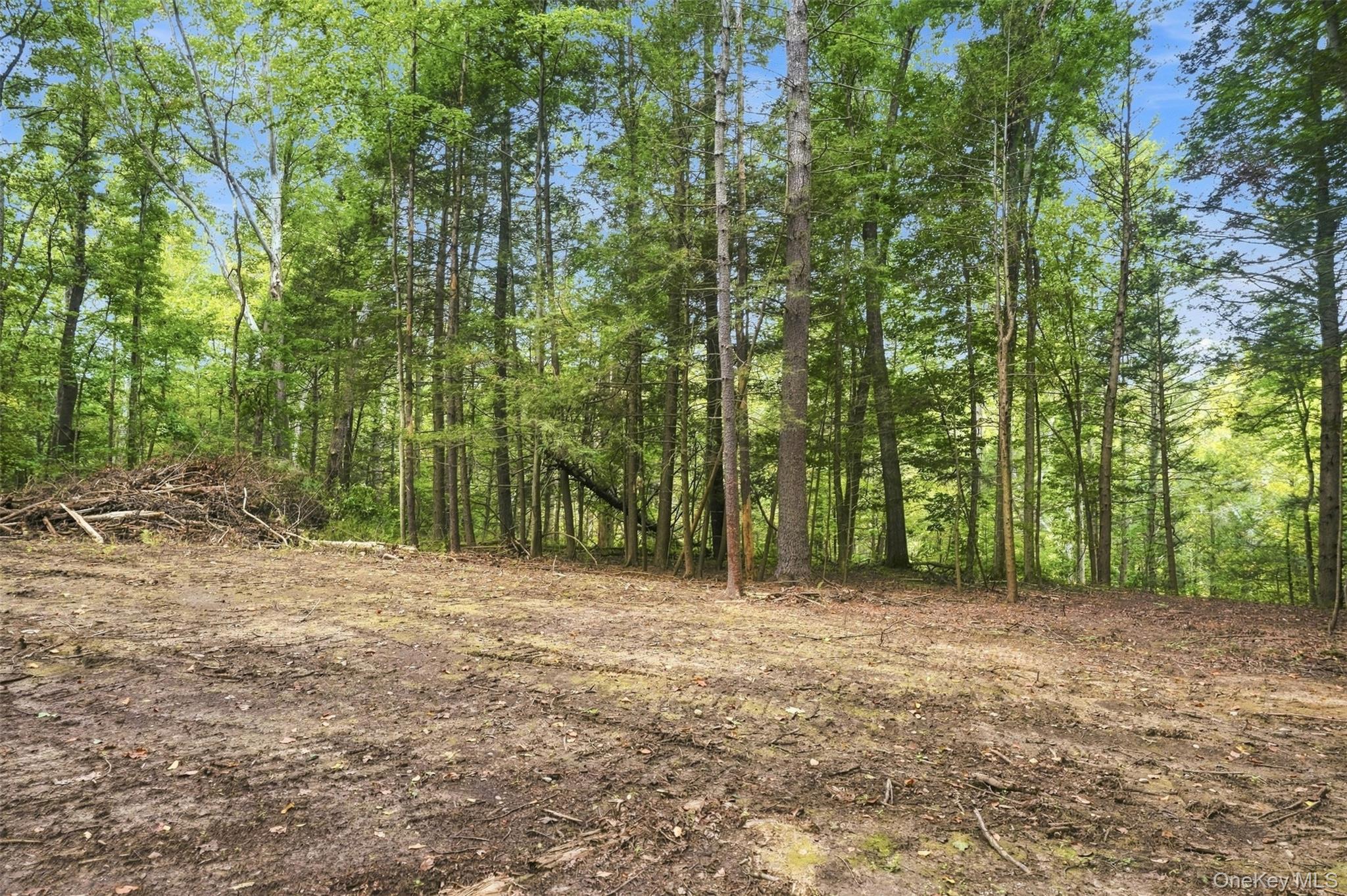 Bruceville Road – For Sale photo 24