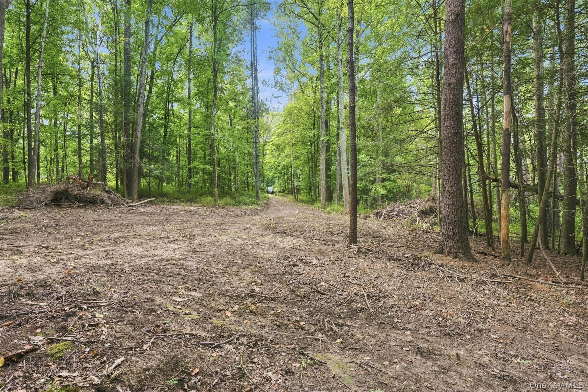 Bruceville Road – For Sale photo 22