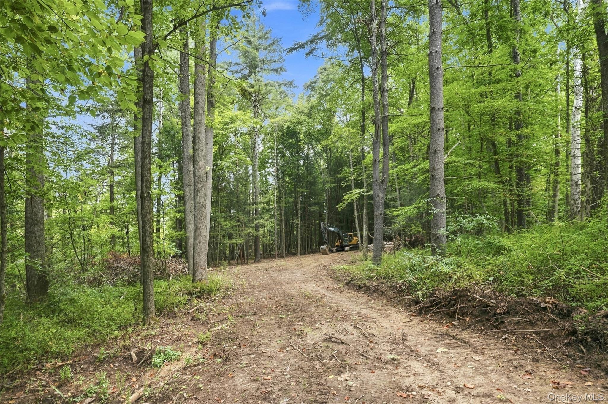 Bruceville Road – For Sale photo 16