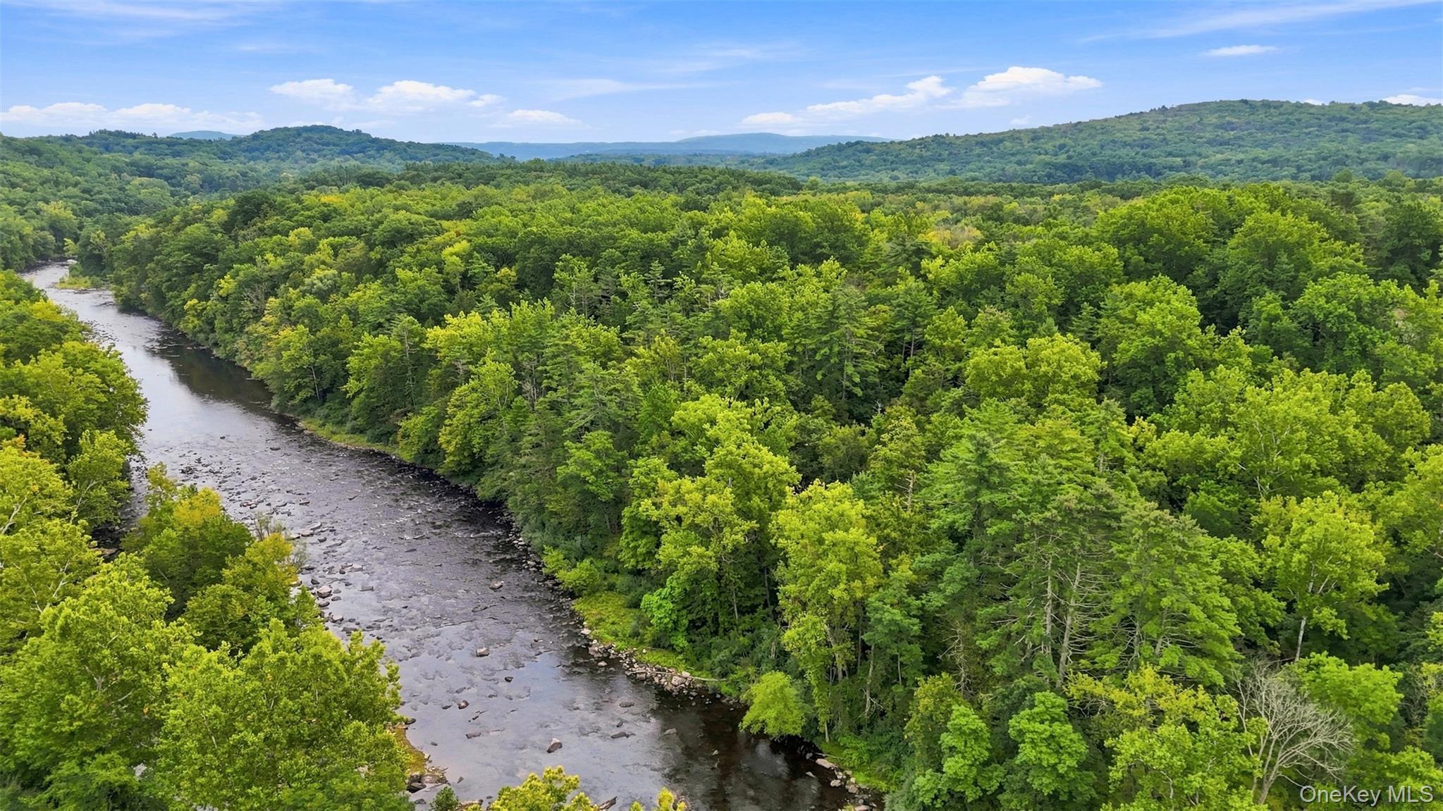 Bruceville Road – For Sale photo 9