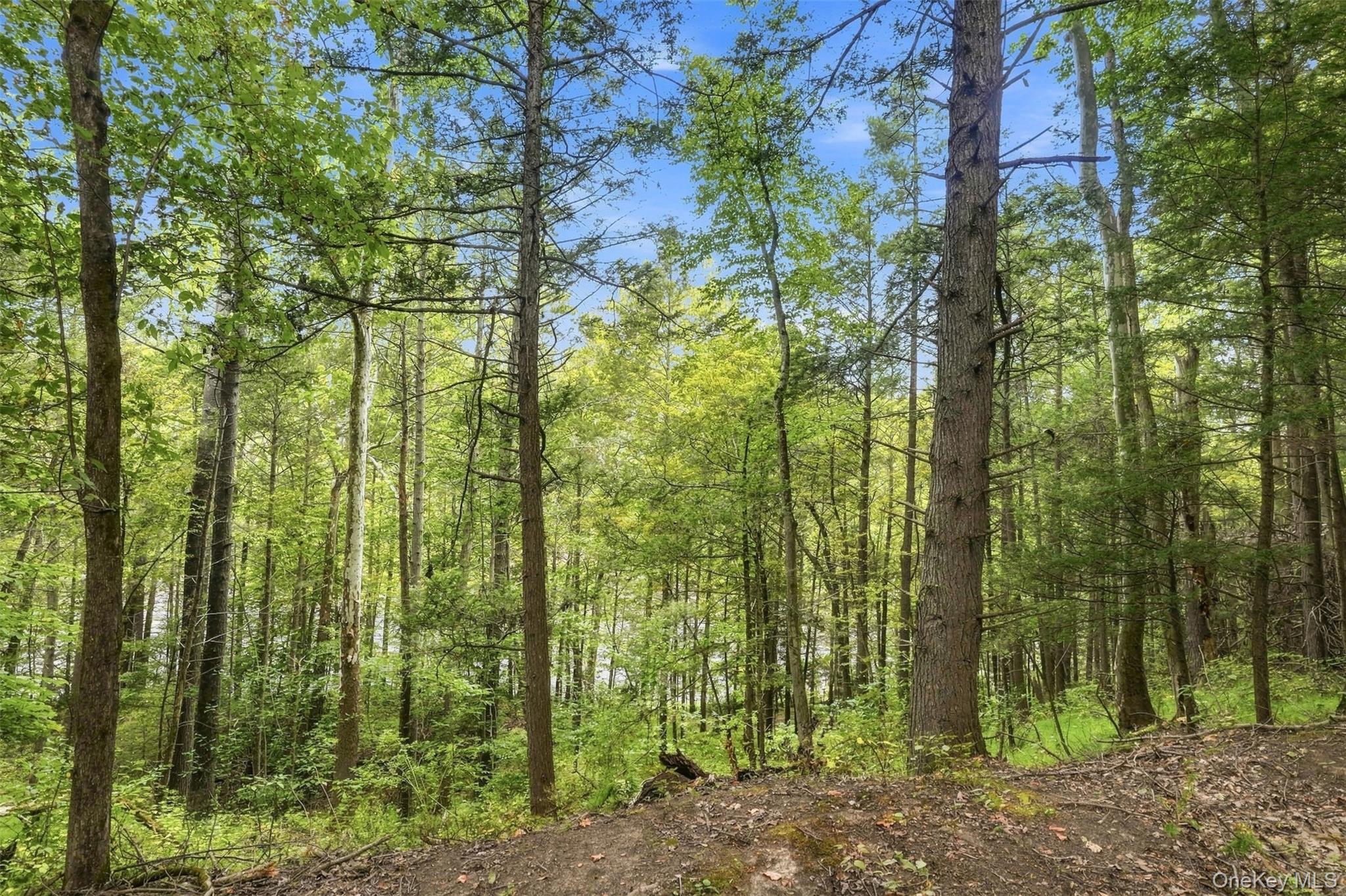 Bruceville Road – For Sale photo 20