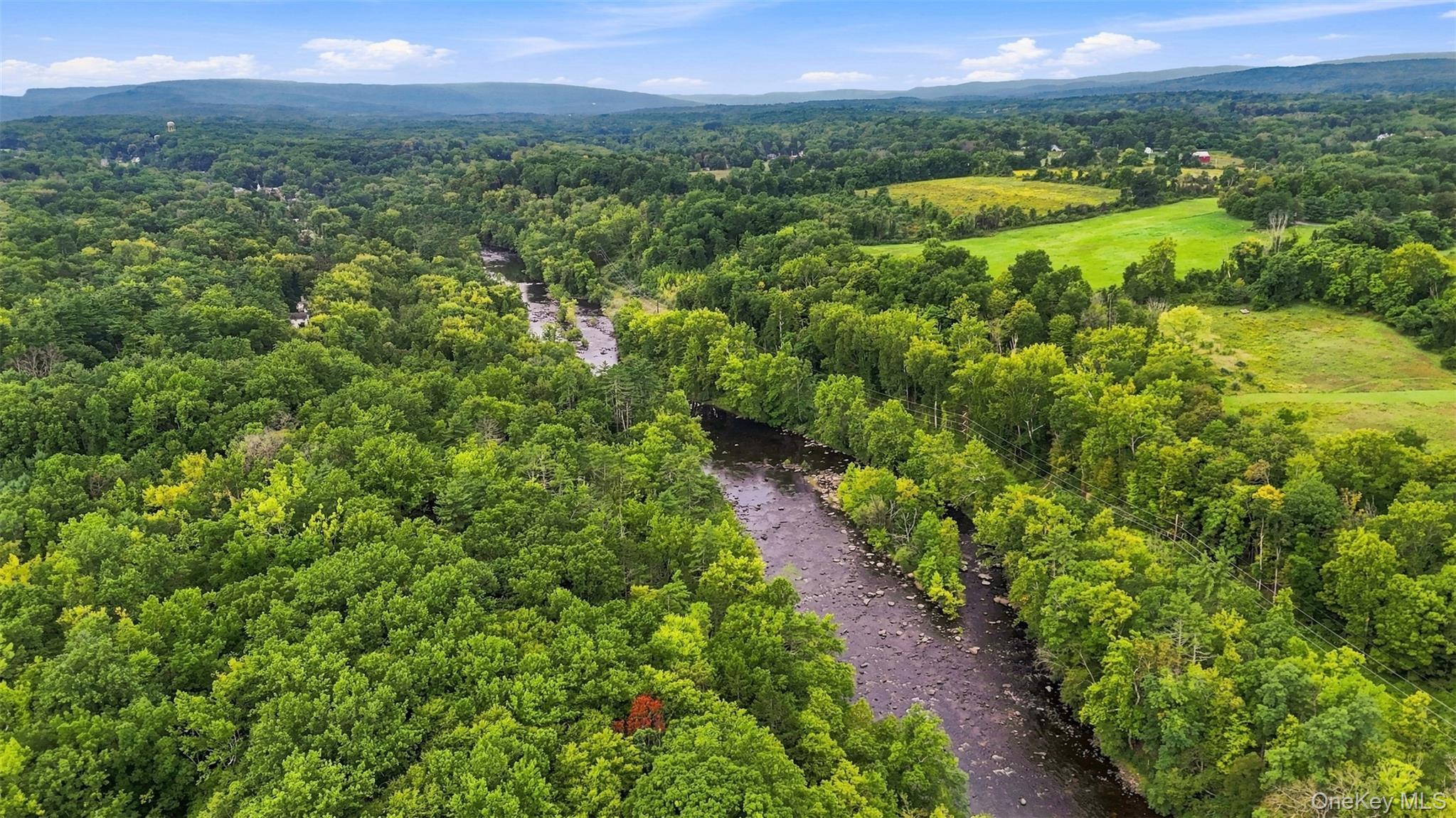 Bruceville Road – For Sale photo 4