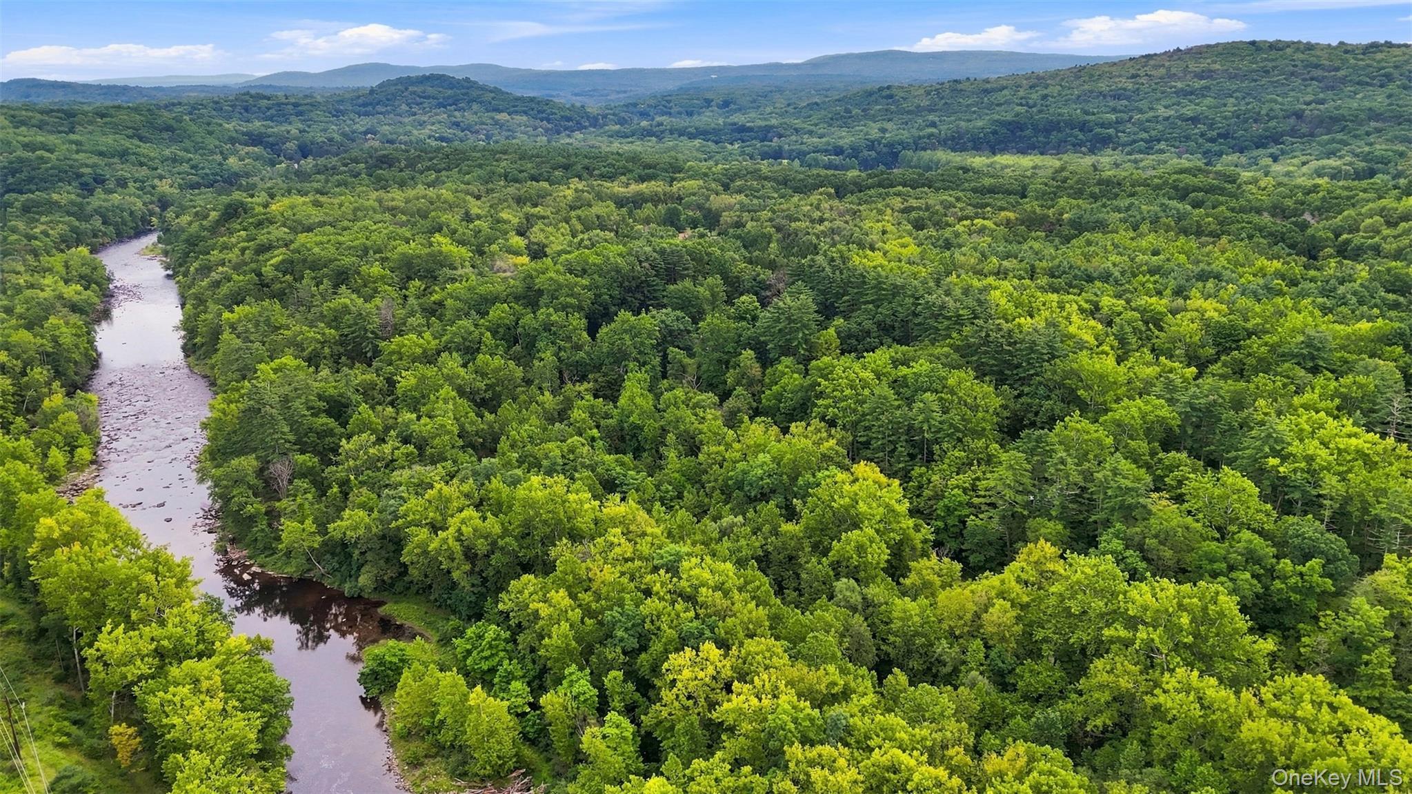 Bruceville Road – For Sale photo 13
