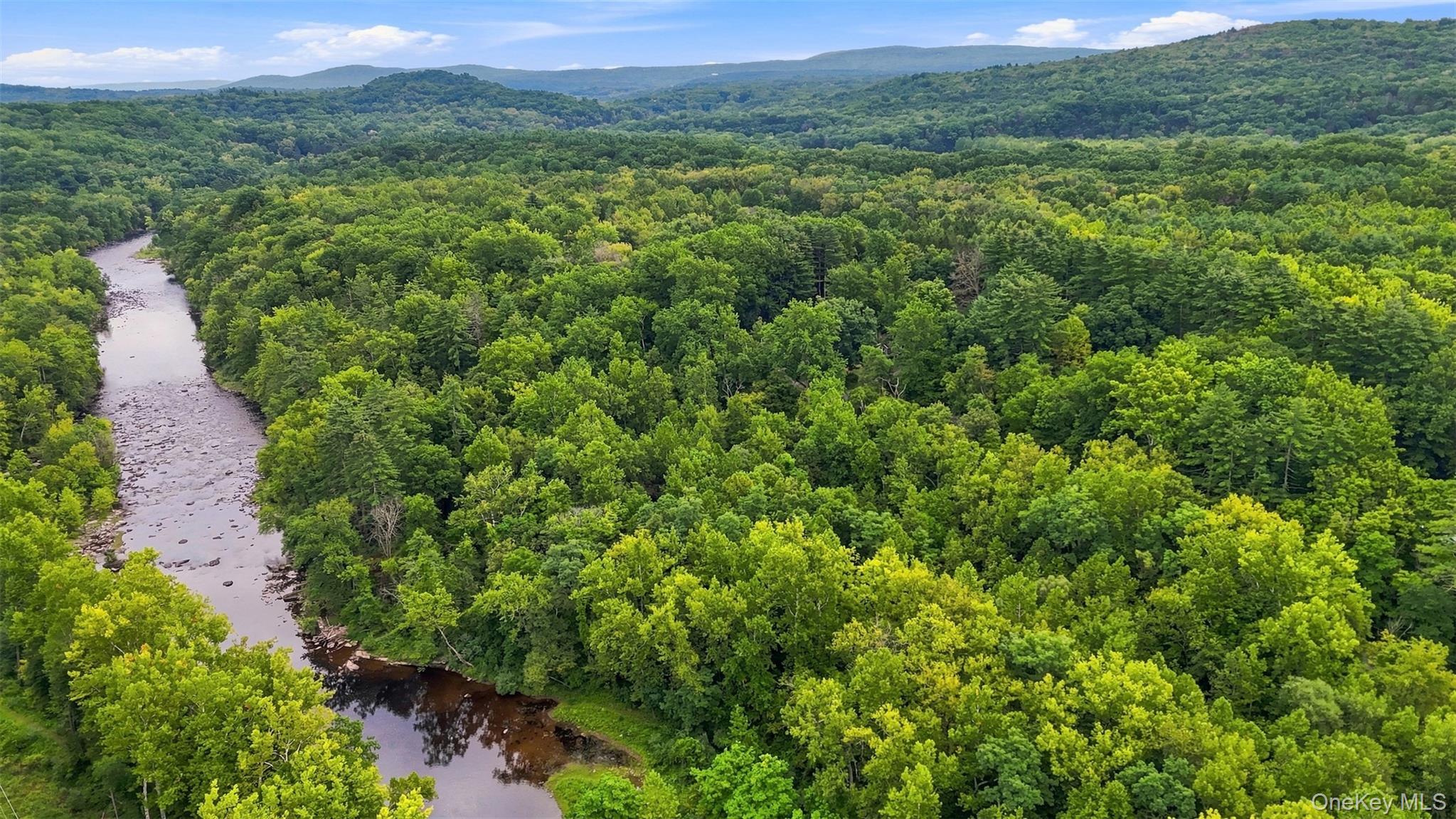 Bruceville Road – For Sale photo 10