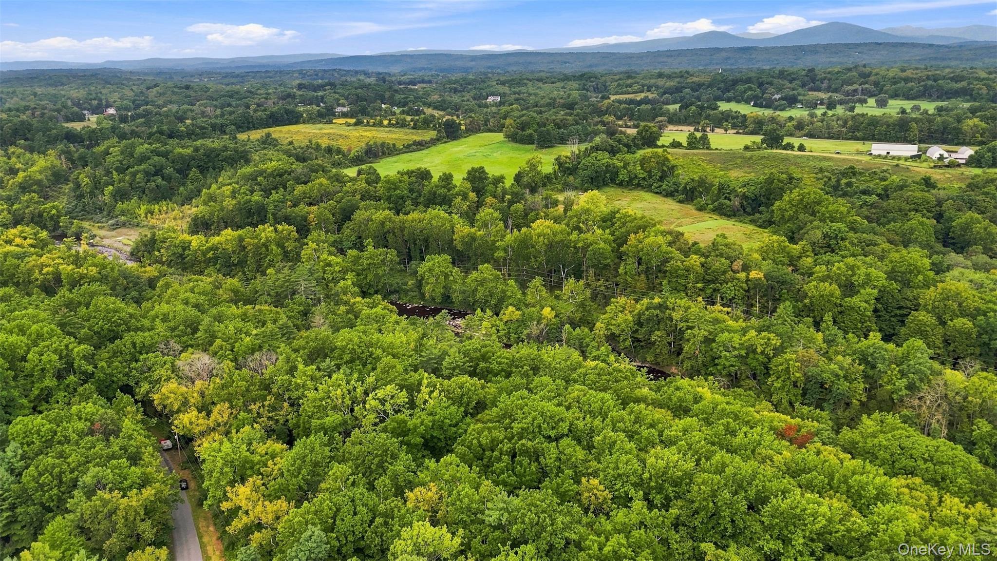 Bruceville Road – For Sale photo 5