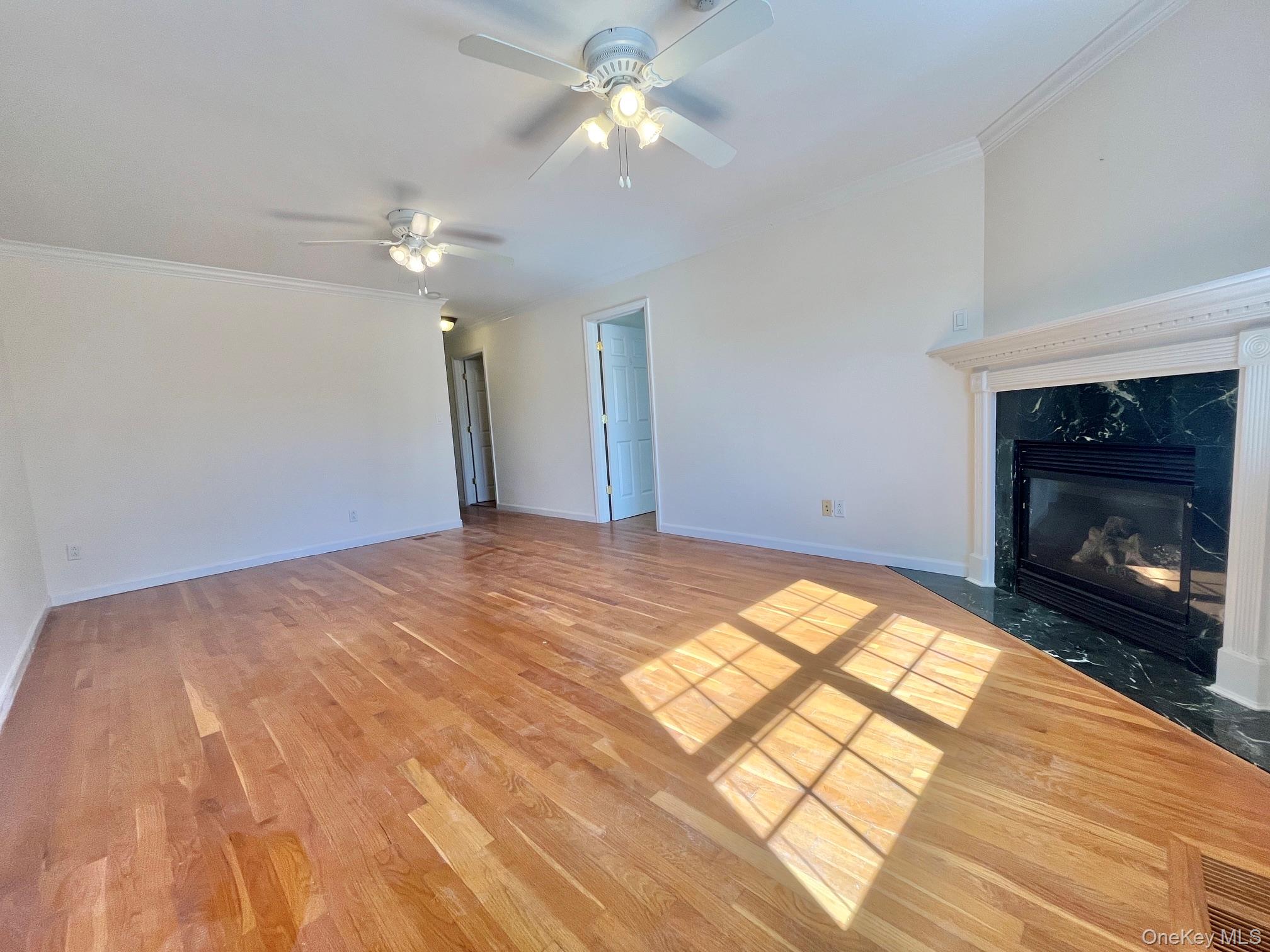 153 Montgomery Avenue, Unit B photo 2
