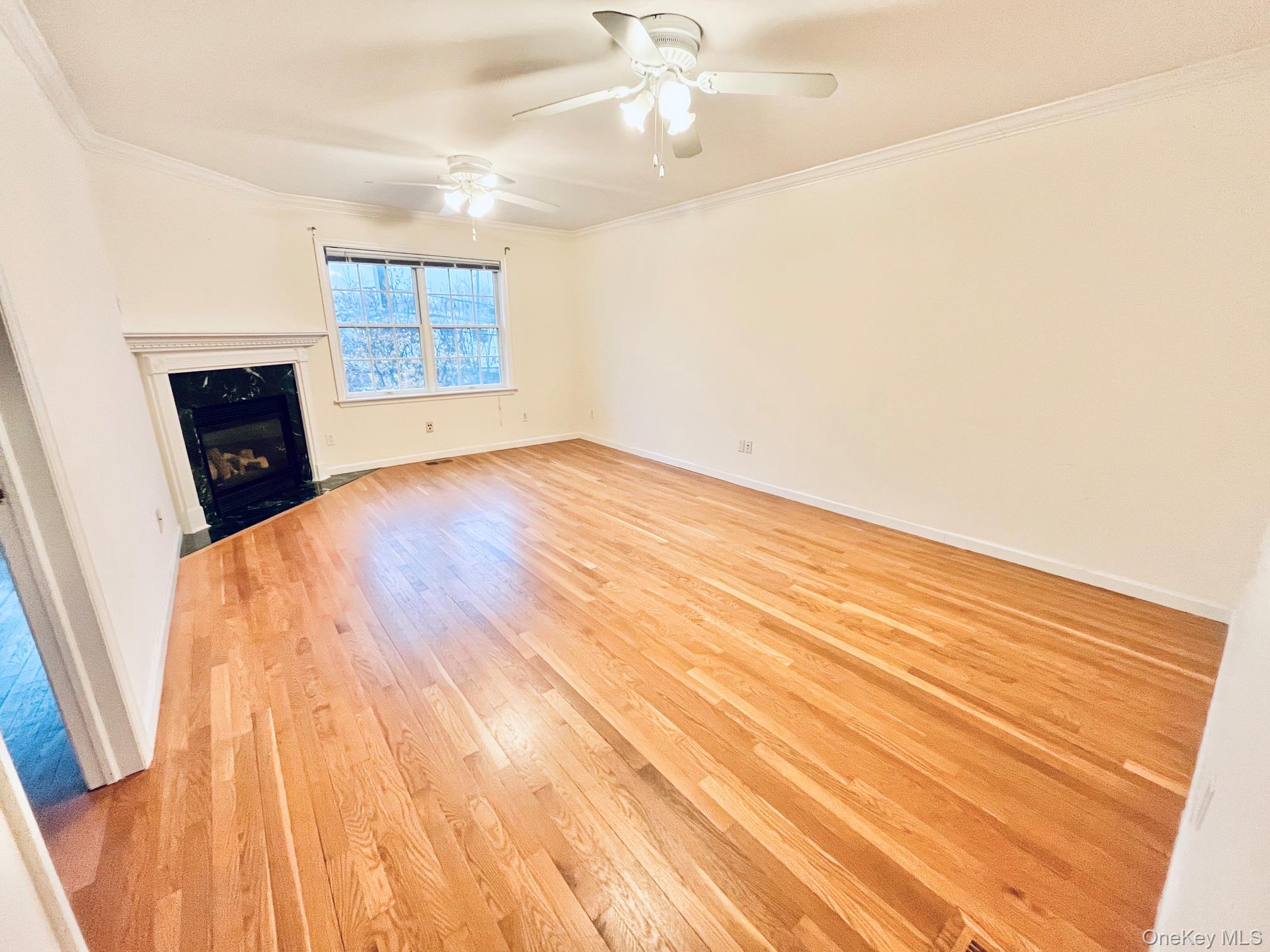 153 Montgomery Avenue, Unit B photo 6